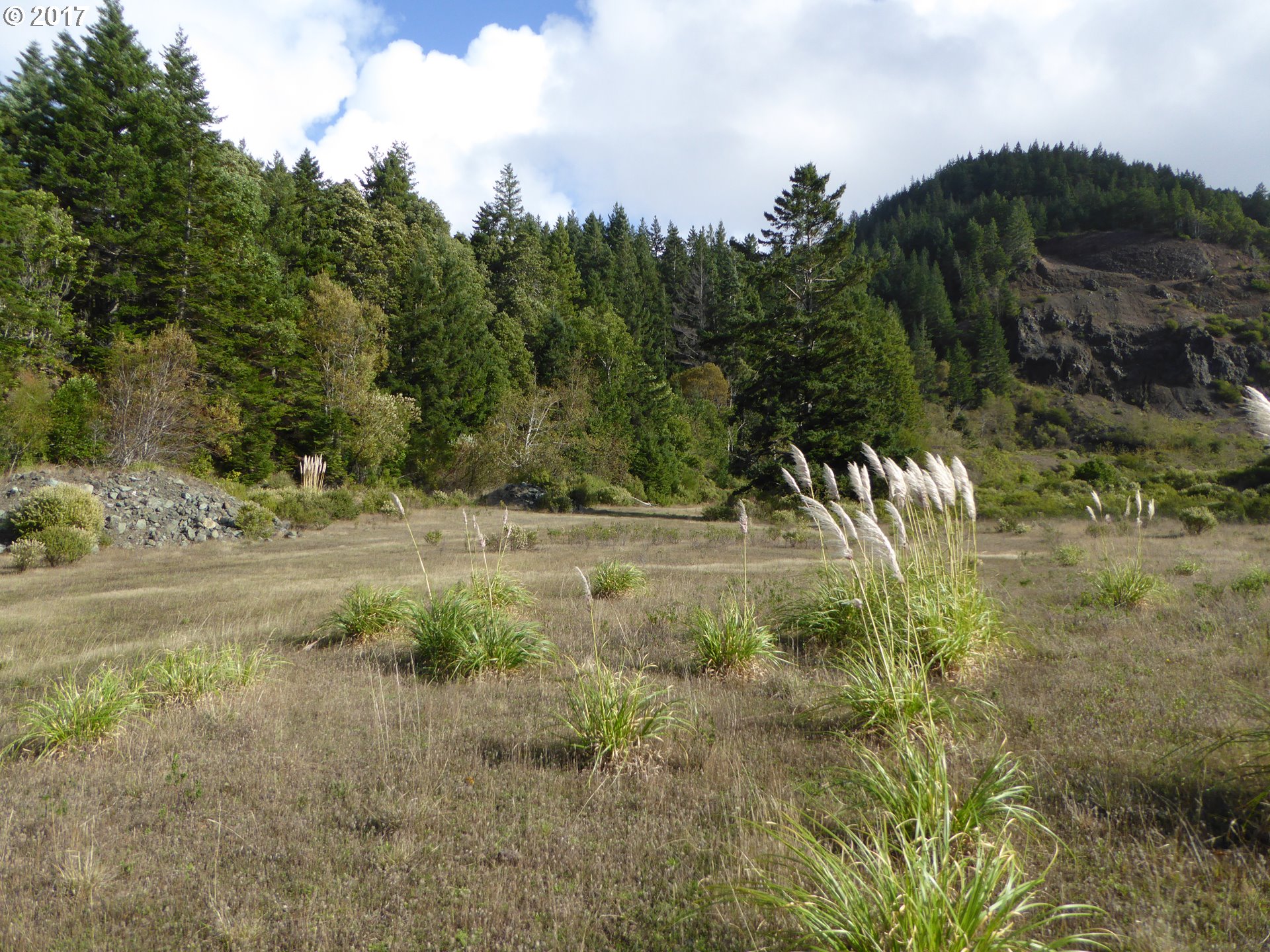 94583 Quarry Road Gold Beach, OR 97444 - Photo 7 of 29 Gallery Image 7