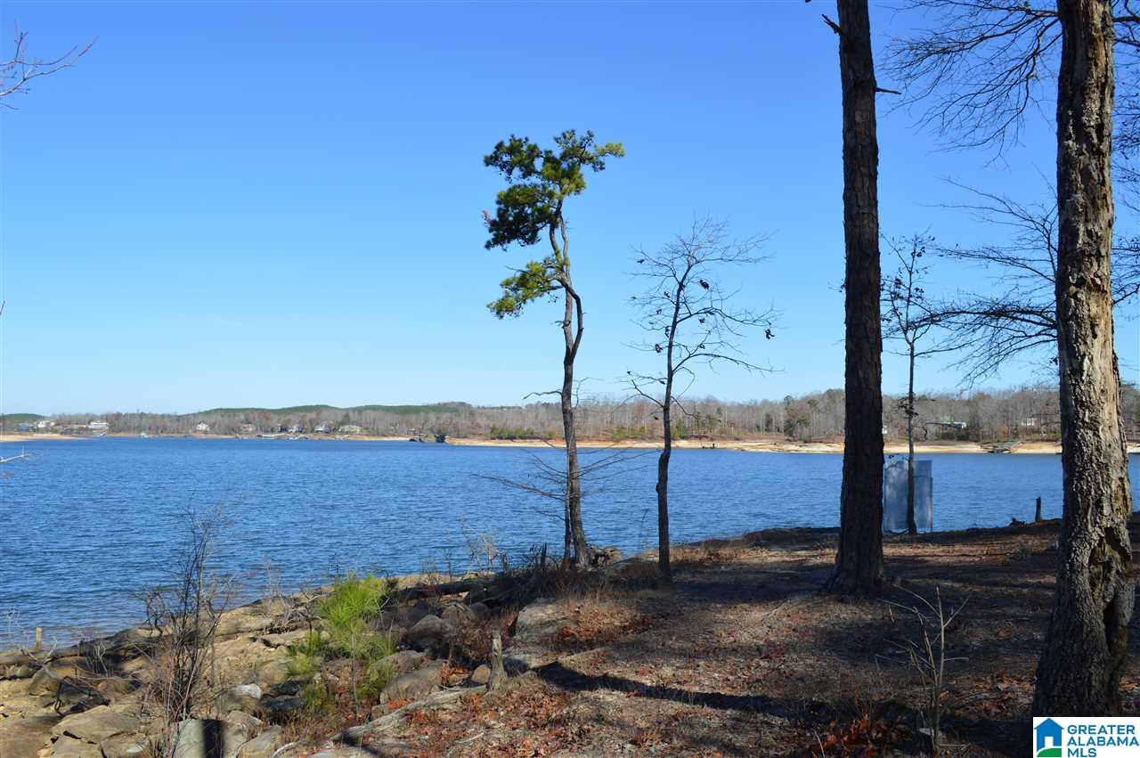 South Stoney Point Road South, Unit 138 Double Springs, AL 35553 - Photo 2 of 22