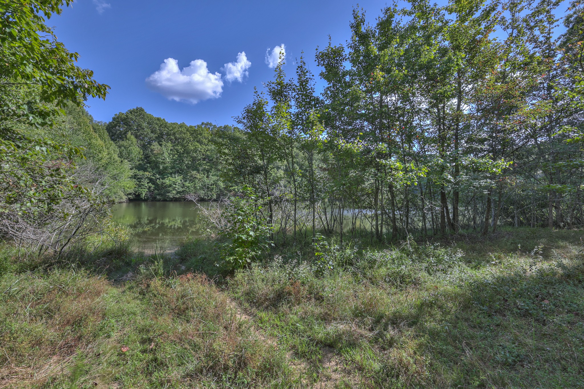 4000 Jumpoff Road Sewanee, TN 37375 - Photo 24 of 68 Gallery Image 24