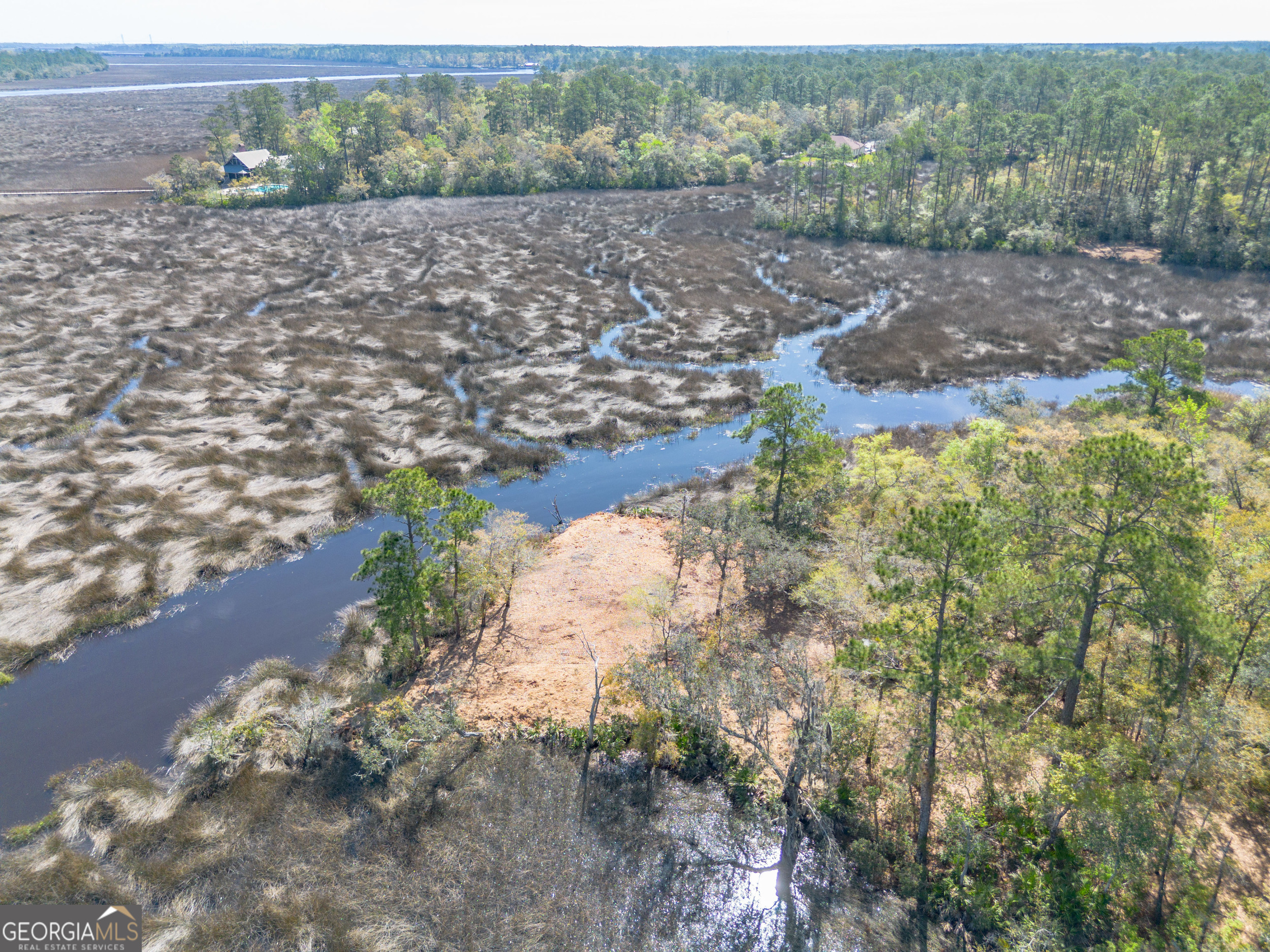 4240 Highway 17 Brunswick, GA 31525 - Photo 11 of 19 a view of a yard with wooden fence
