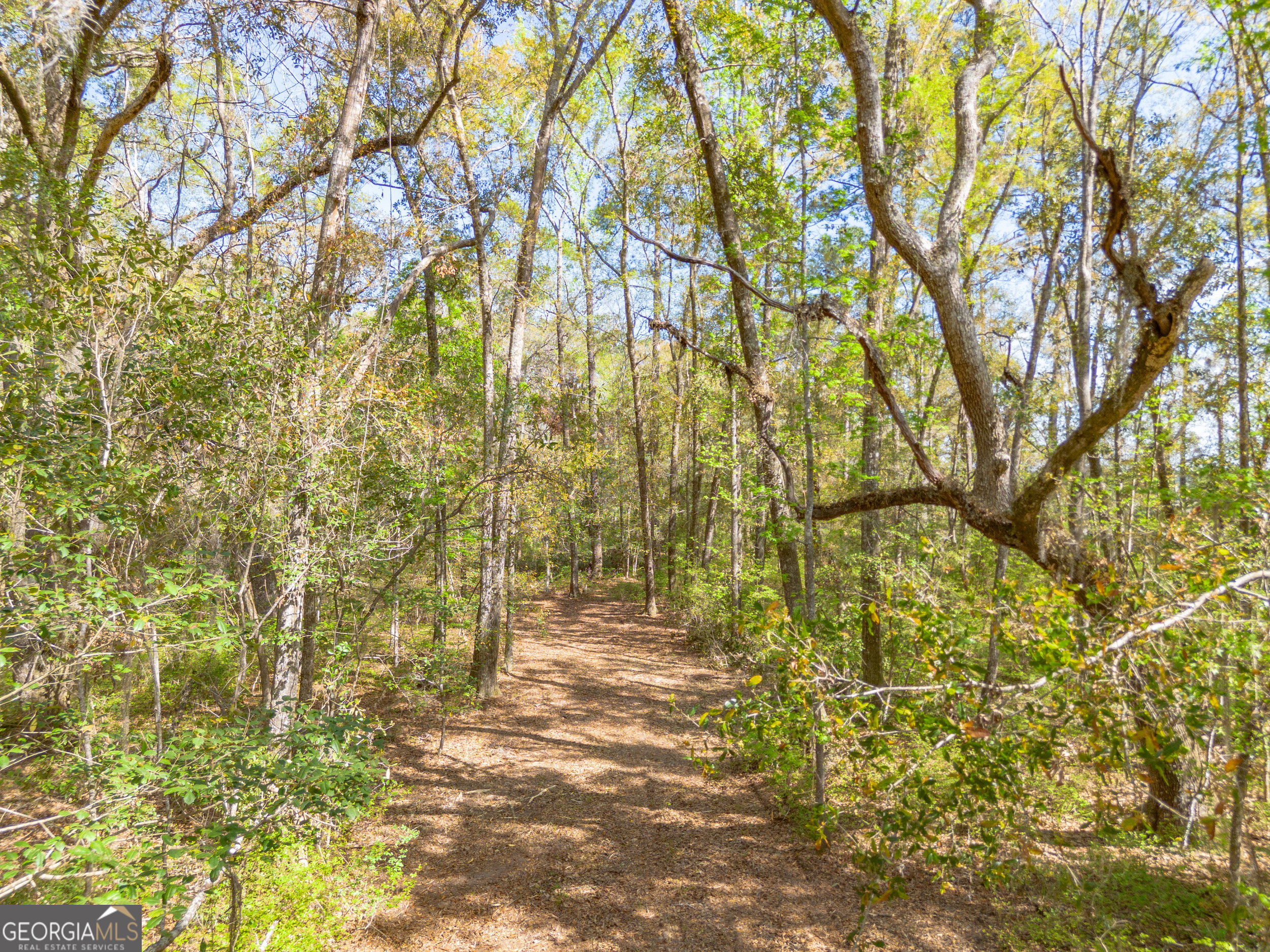 4240 Highway 17 Brunswick, GA 31525 - Photo 13 of 19 a view of outdoor space and a yard