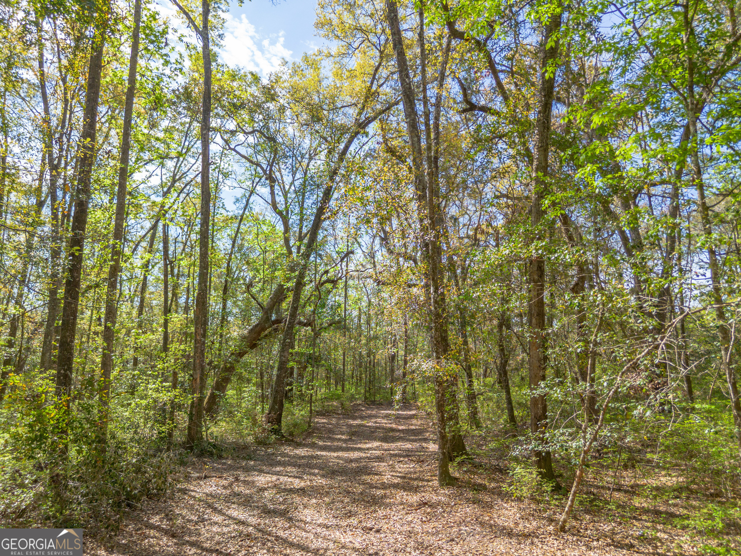 4240 Highway 17 Brunswick, GA 31525 - Photo 14 of 19 a view of outdoor space and yard