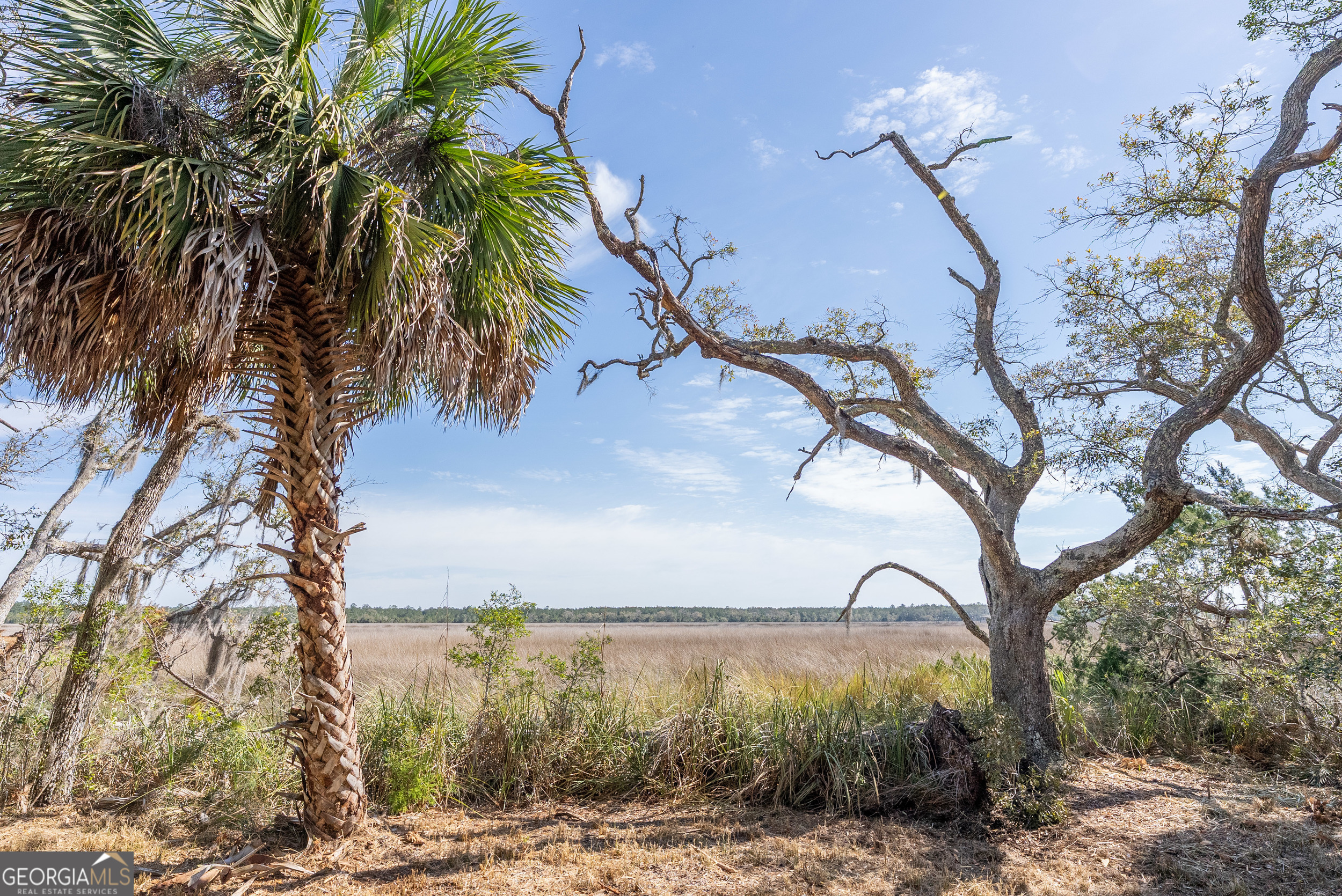 4240 Highway 17 Brunswick, GA 31525 - Photo 17 of 19 a backyard of a house with lots of green space