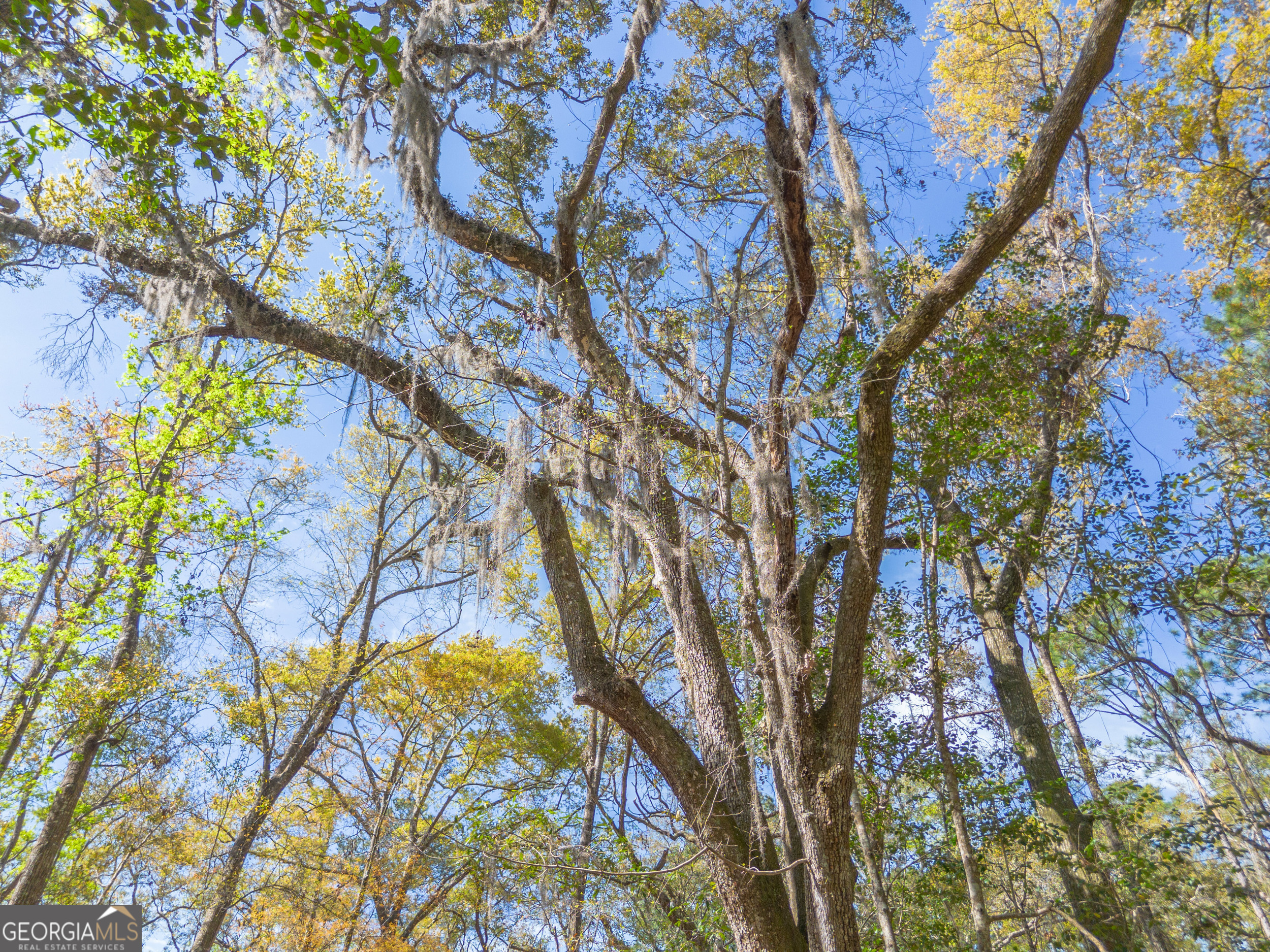 4240 Highway 17 Brunswick, GA 31525 - Photo 19 of 19 a backyard of a house