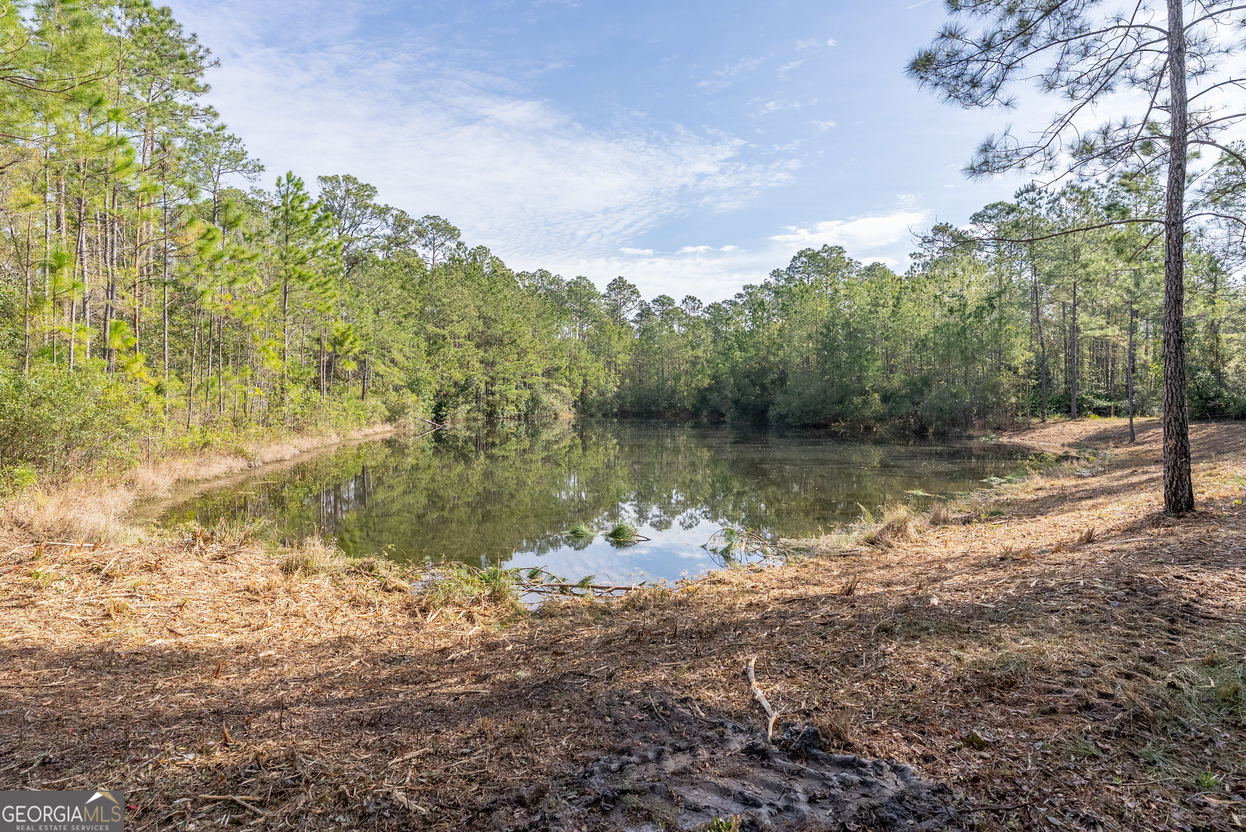 4240 Highway 17 Brunswick, GA 31525 - Photo 2 of 19 a view of lake with green space