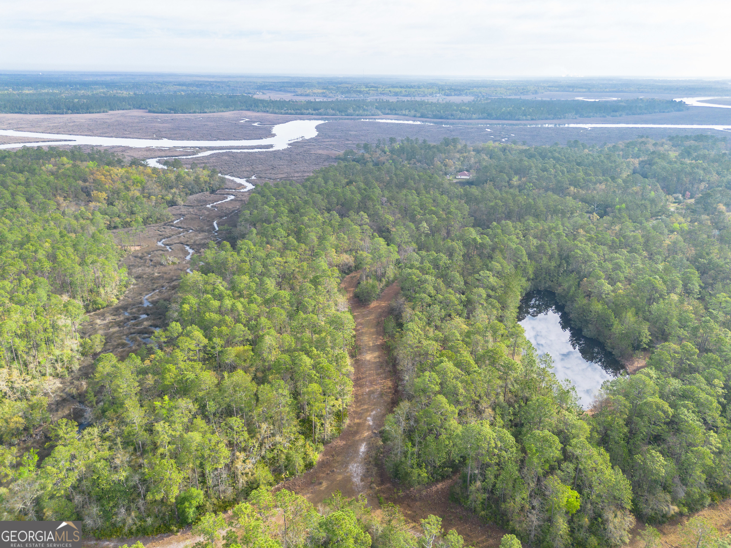 4240 Highway 17 Brunswick, GA 31525 - Photo 7 of 19 a view of a city with lush green forest