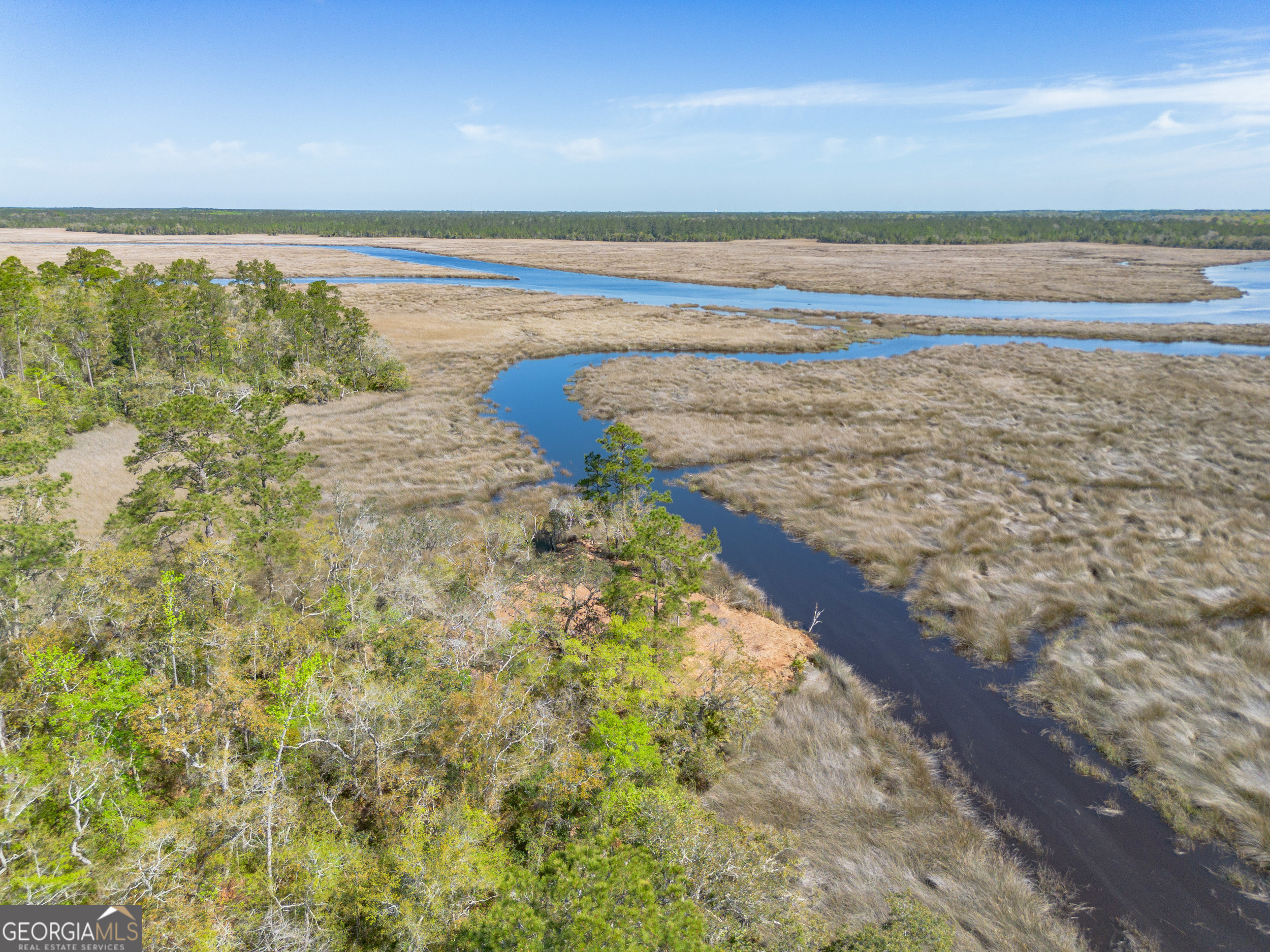 4240 Highway 17 Brunswick, GA 31525 - Photo 9 of 19