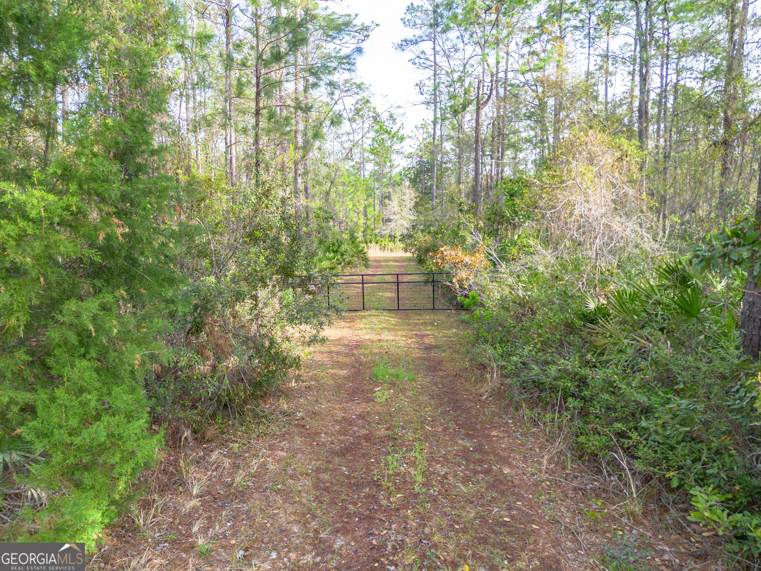 4240 Highway 17 Brunswick, GA 31525 - Photo 10 of 19 a view of outdoor space and trees