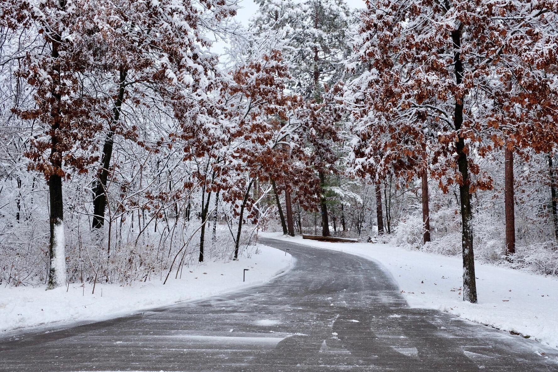 N13703 Canar Road Trempealeau, WI 54661 - Photo 101 of 104 Driveway in winter