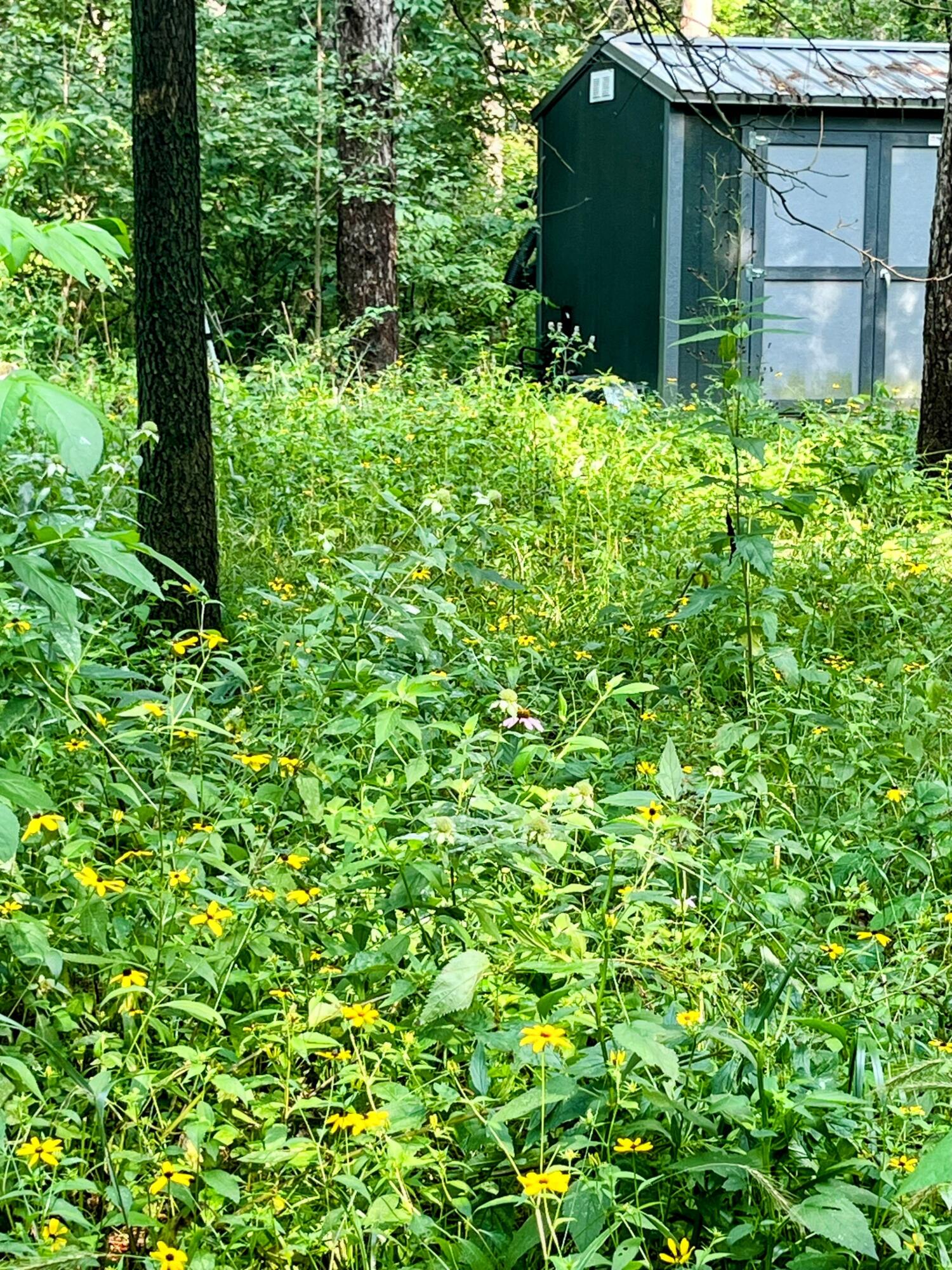 N13703 Canar Road Trempealeau, WI 54661 - Photo 70 of 104 Shed