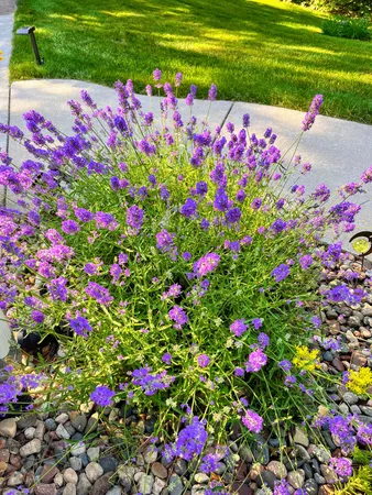 $520,000 | N13703 Canar Road, Trempealeau, WI 54661