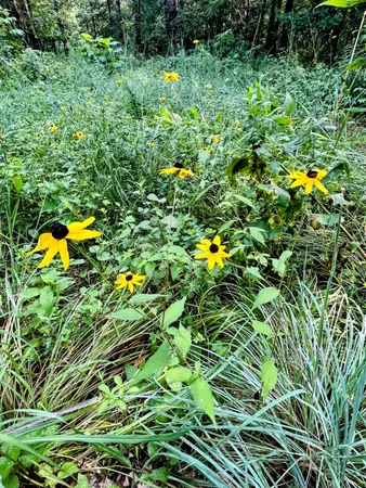 $520,000 | N13703 Canar Road, Trempealeau, WI 54661