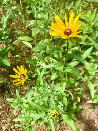 $520,000 | N13703 Canar Road, Trempealeau, WI 54661