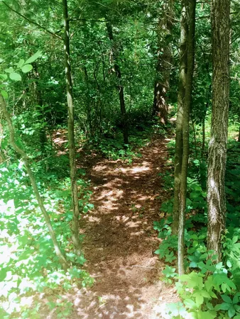 $520,000 | N13703 Canar Road, Trempealeau, WI 54661