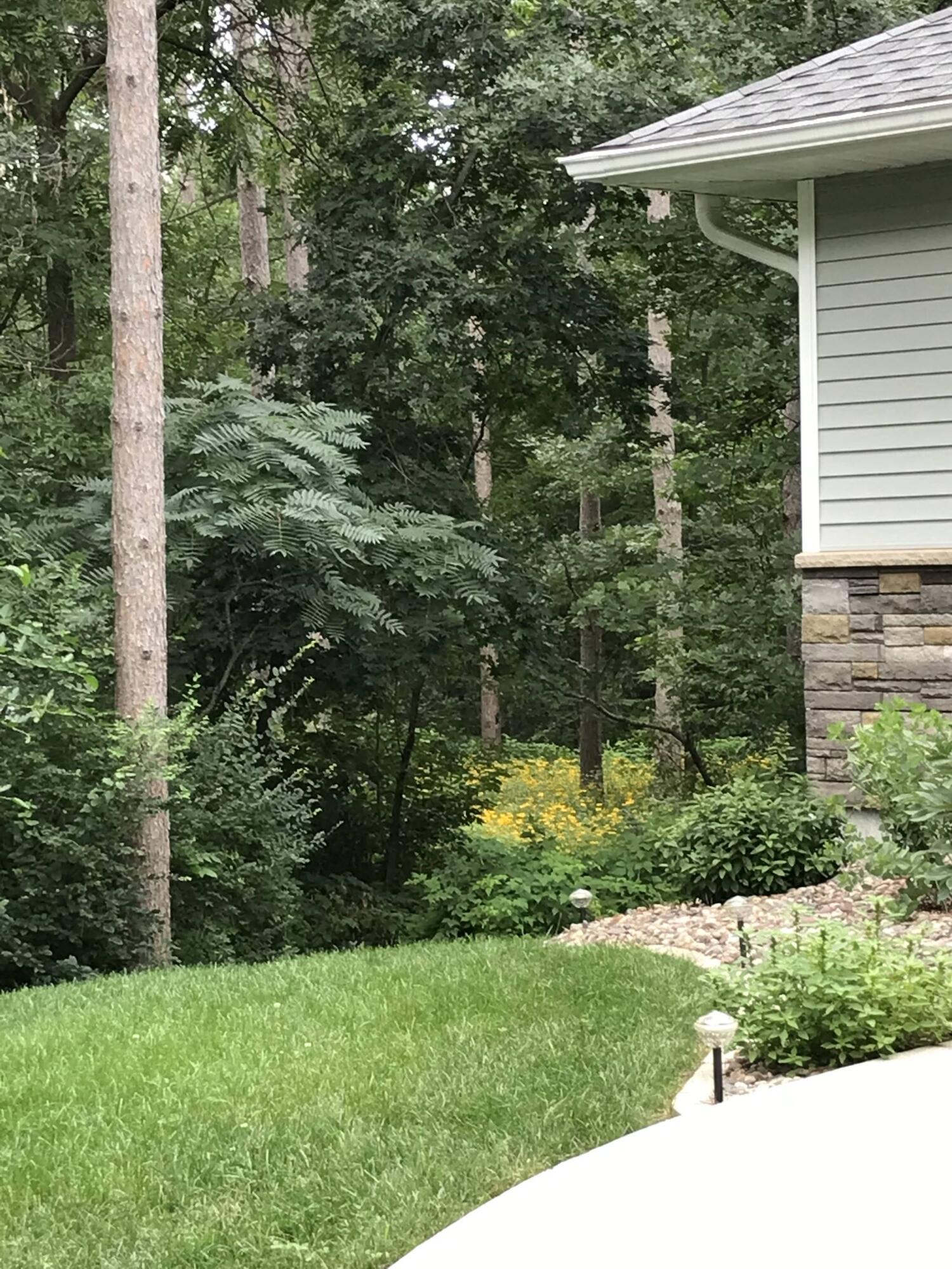 N13703 Canar Road Trempealeau, WI 54661 - Photo 82 of 104 IMG_5269