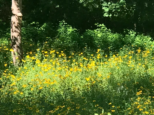 $520,000 | N13703 Canar Road, Trempealeau, WI 54661