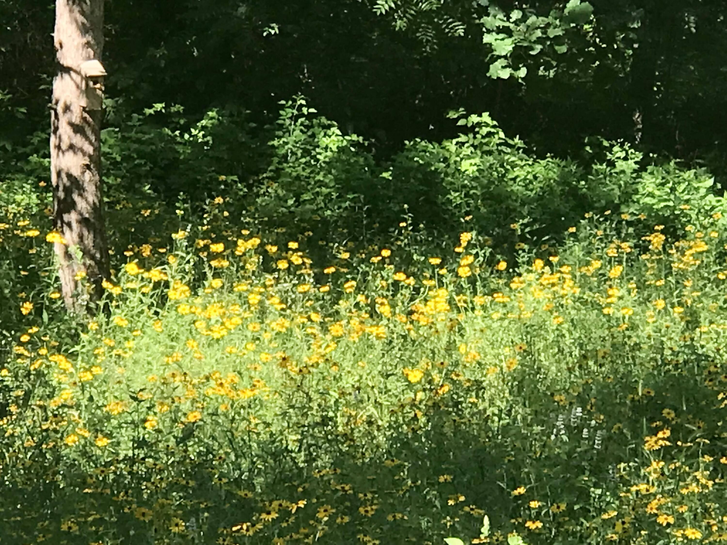 N13703 Canar Road Trempealeau, WI 54661 - Photo 83 of 104 IMG_5296