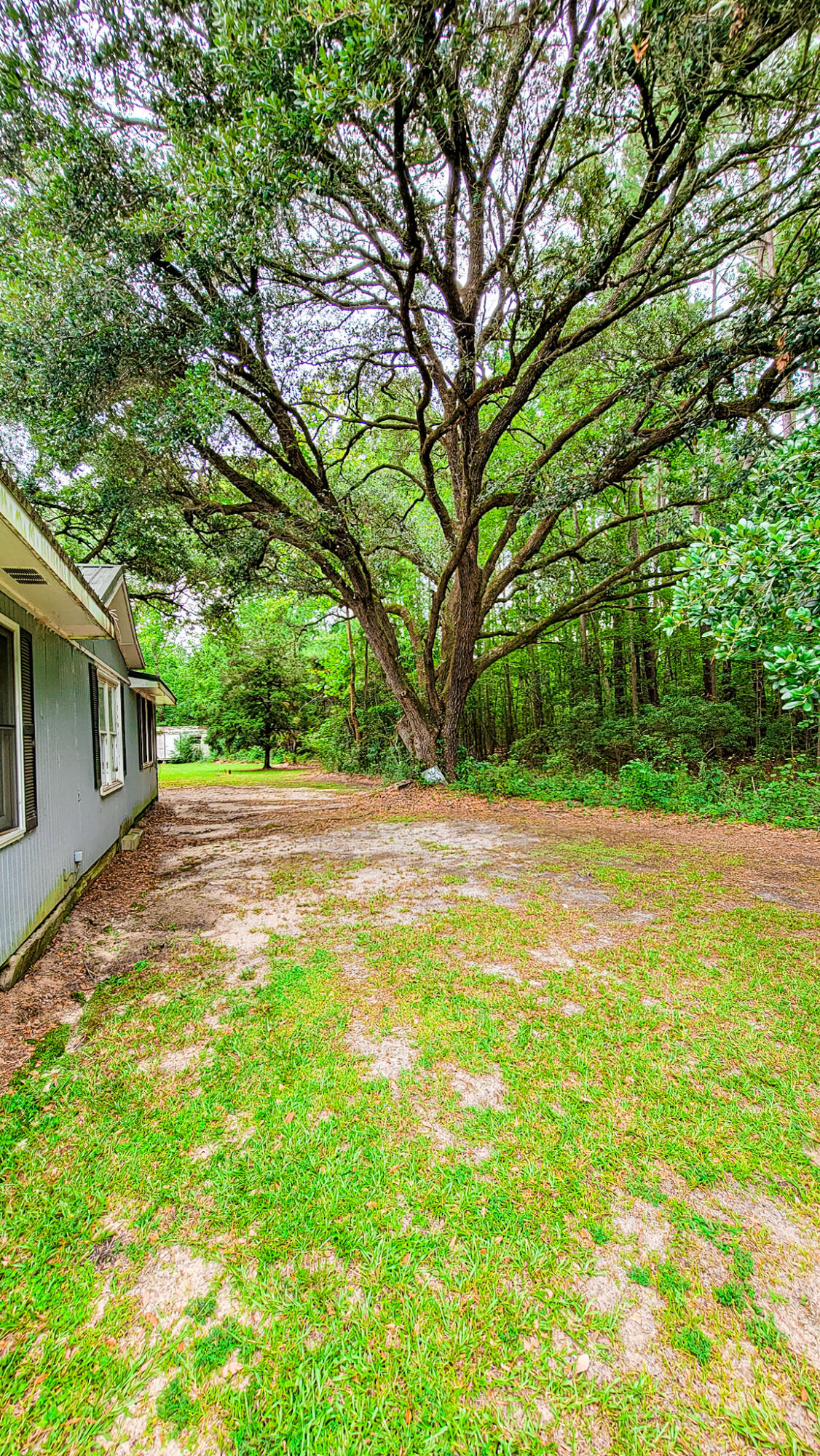 889 Peurifoy Road Walterboro, SC 29488 - Photo 4 of 36 20220708_094217