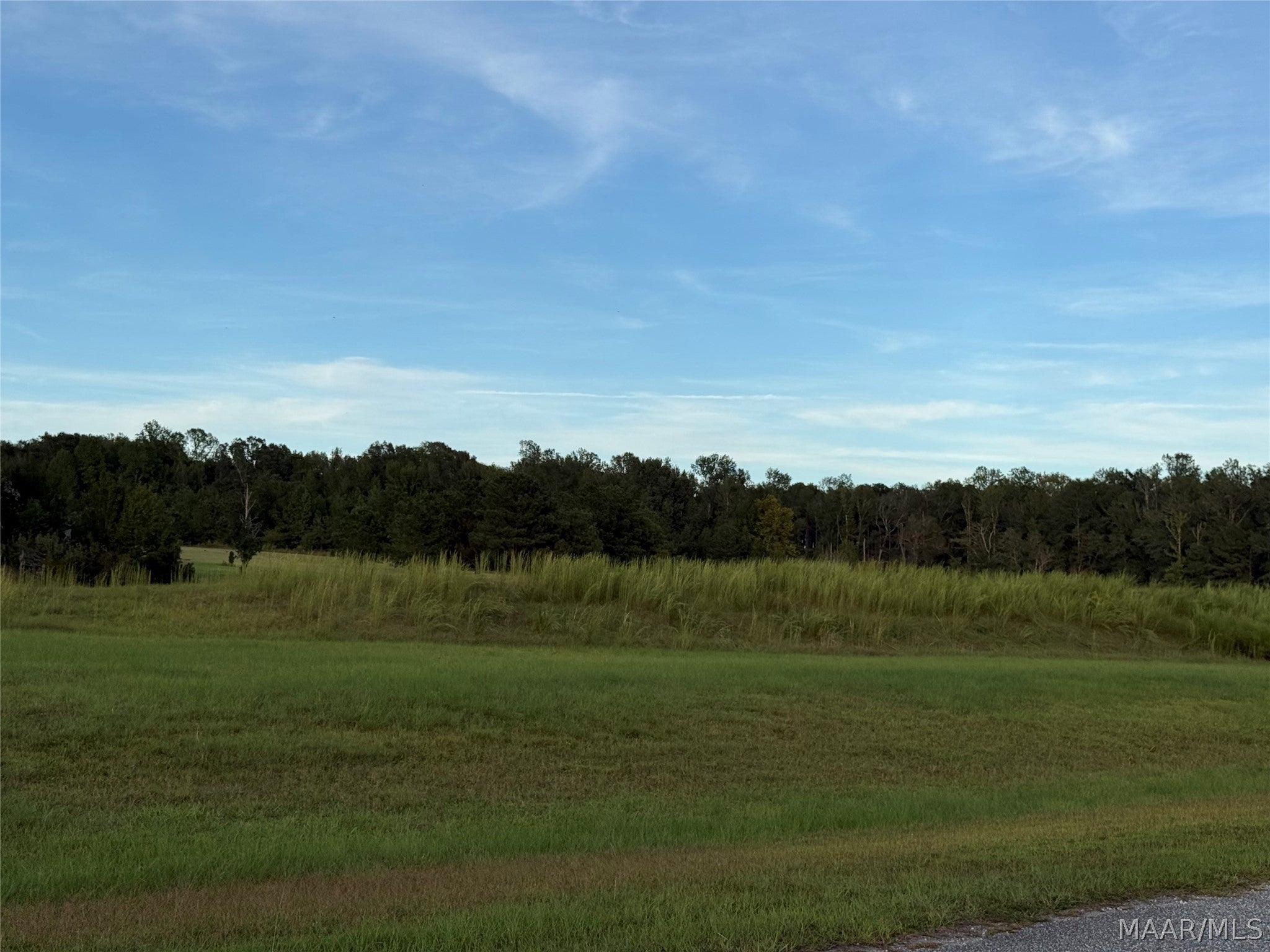 Lot 4 Chesson Court Fitzpatrick, AL 36029 - Photo 14 of 16 Gallery Image 14