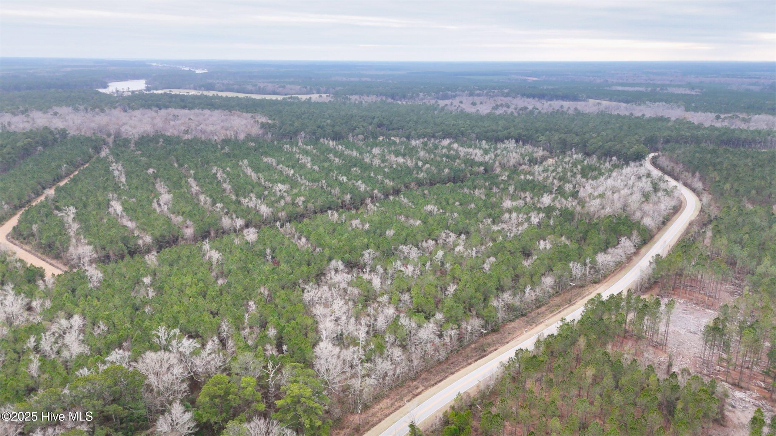 45 Adams Creek Road Havelock, NC 28532 - Photo 14 of 39 DSC_100007-scaled