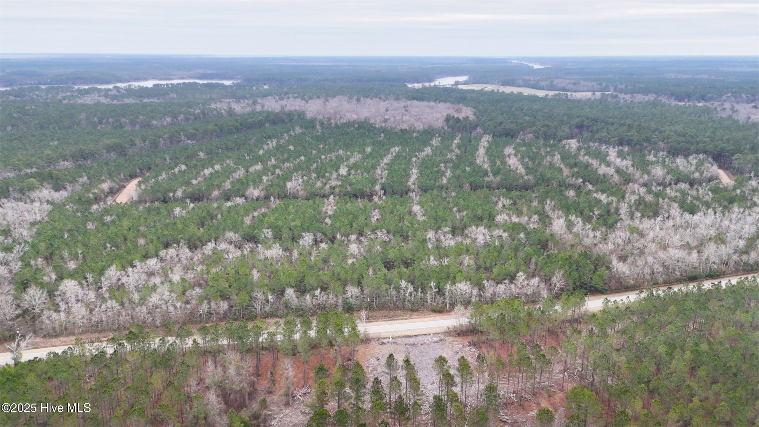 45 Adams Creek Road Havelock, NC 28532 - Photo 15 of 39 DSC_100008-scaled