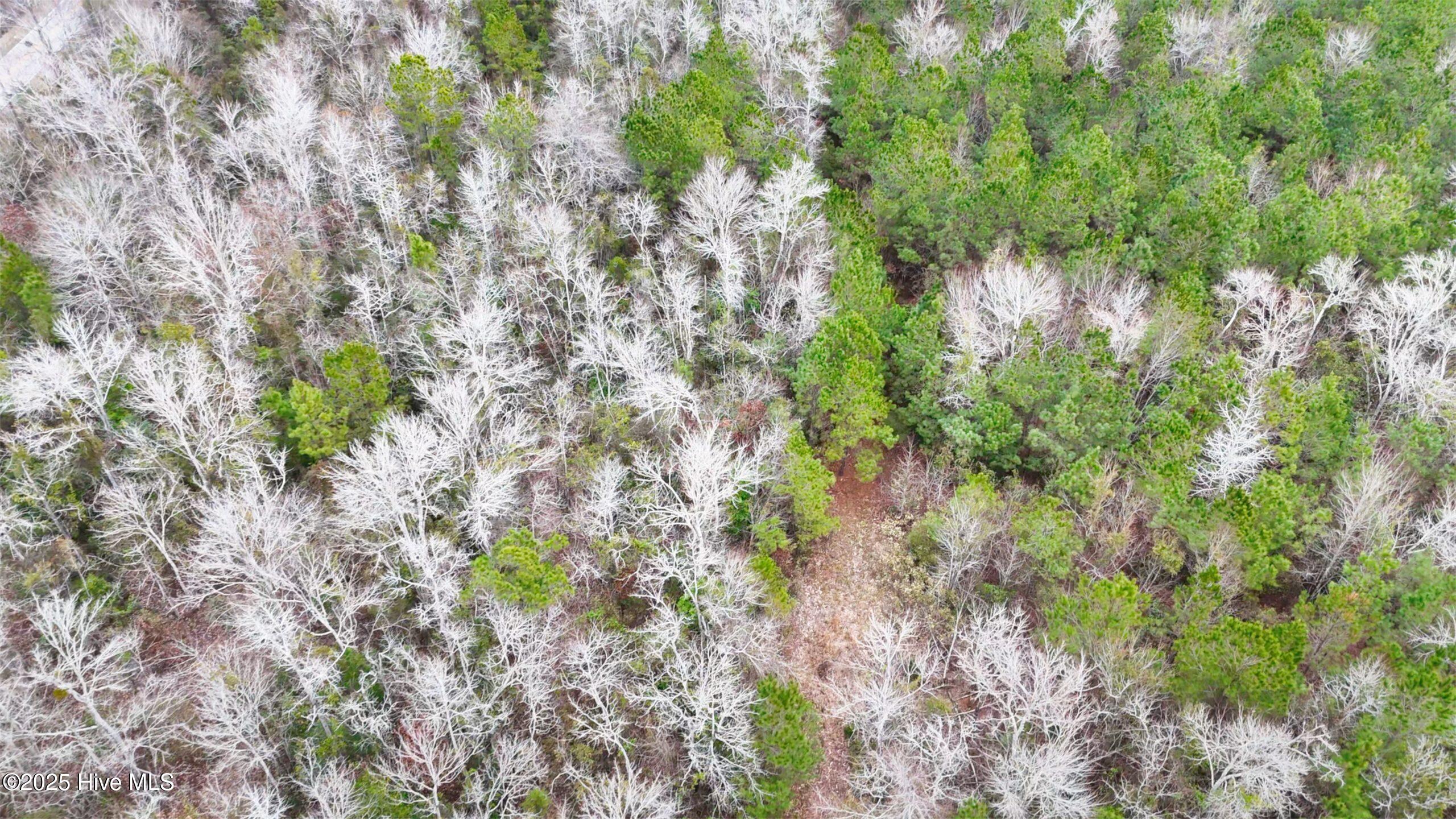 45 Adams Creek Road Havelock, NC 28532 - Photo 21 of 39 DSC_100016-scaled