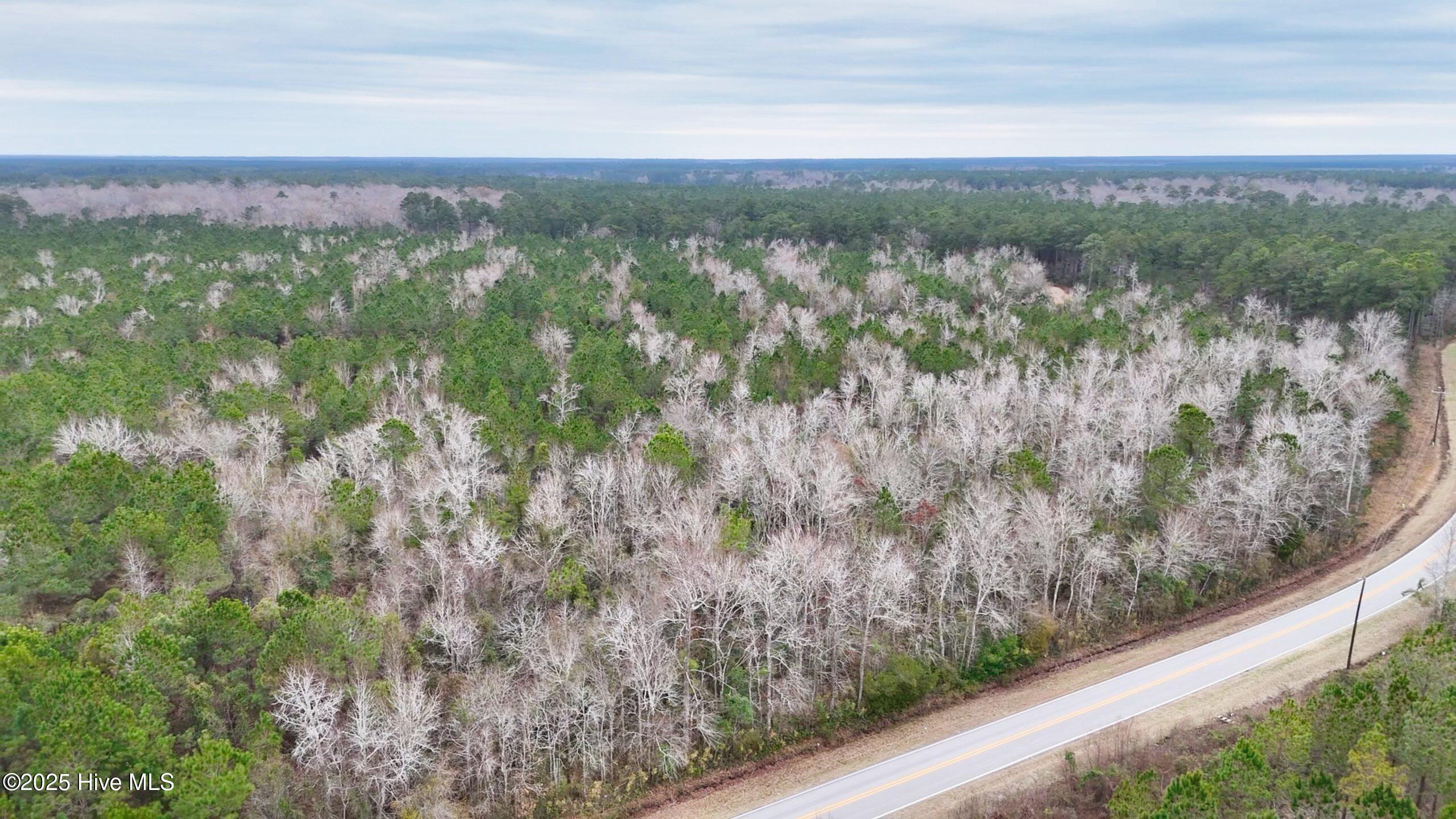 45 Adams Creek Road Havelock, NC 28532 - Photo 24 of 39 DSC_100025-scaled