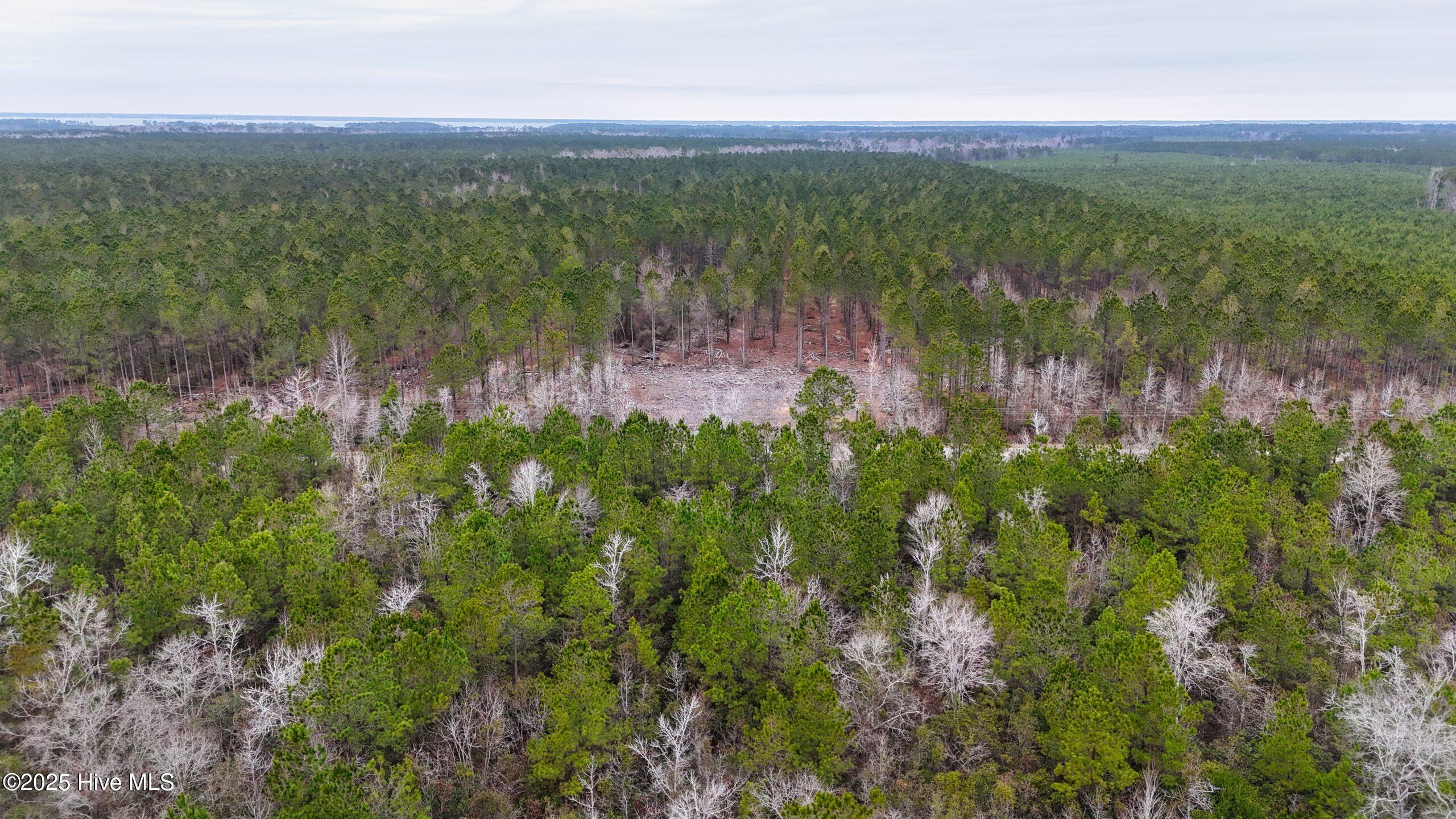 45 Adams Creek Road Havelock, NC 28532 - Photo 8 of 39 8