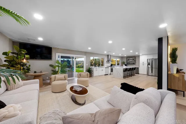 a living room with a couch and a potted plant