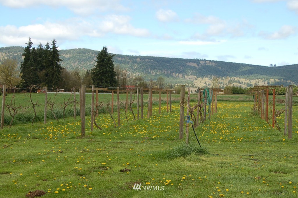 12000 183rd Avenue Southwest Rochester, WA 98579 - Photo 5 of 14
