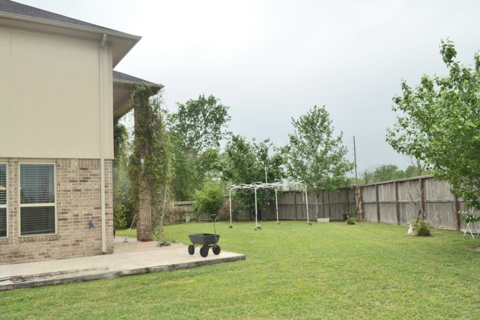 5206 Jacob Ridge Court Sugar Land, TX 77479 - Photo 40 of 42 a view of a backyard with a garden and plants