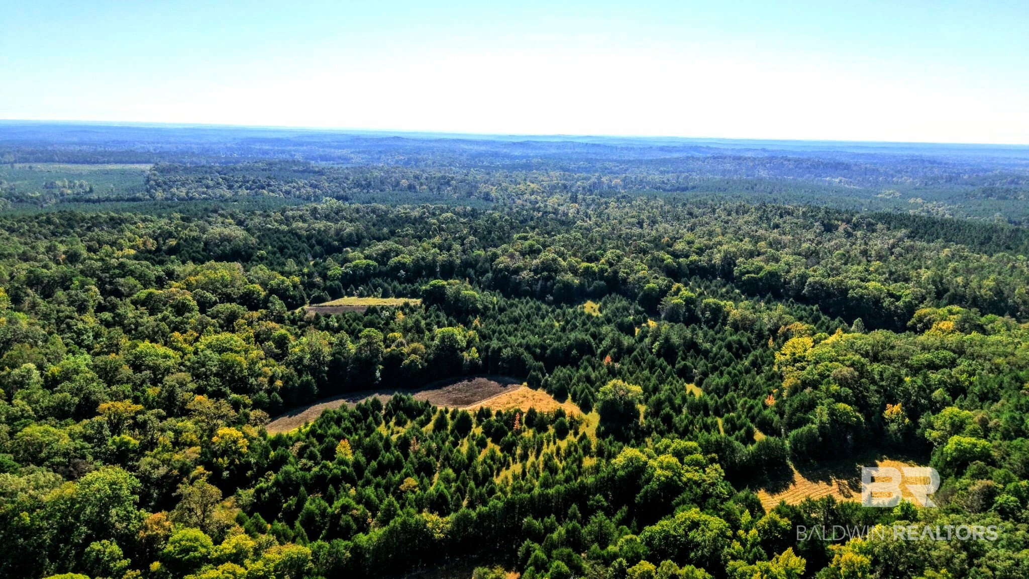0 Highway 17 Millry, AL 36558 - Photo 39 of 73 Gallery Image 39