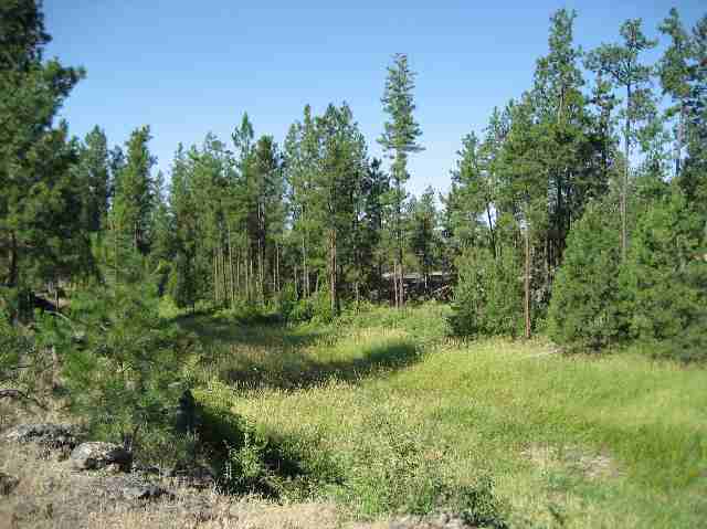 0 Drumheller/lot Road Cheney, WA 99004 - Photo 3 of 9