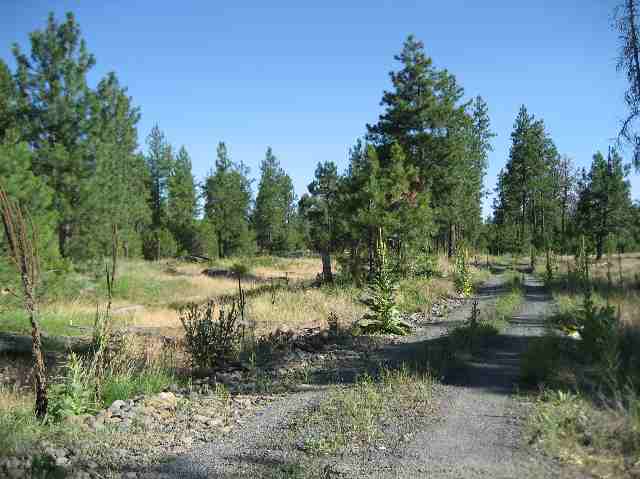 0 Drumheller/lot Road Cheney, WA 99004 - Photo 5 of 9