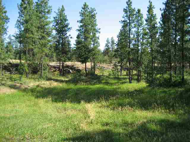 0 Drumheller/lot Road Cheney, WA 99004 - Photo 6 of 9