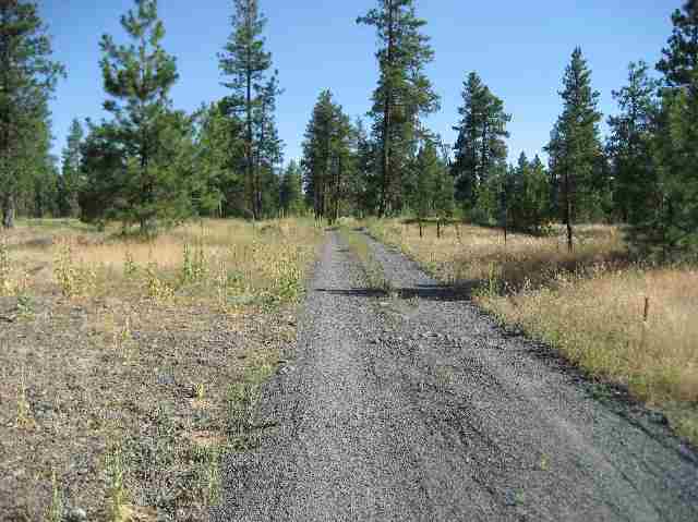0 Drumheller/lot Road Cheney, WA 99004 - Photo 8 of 9