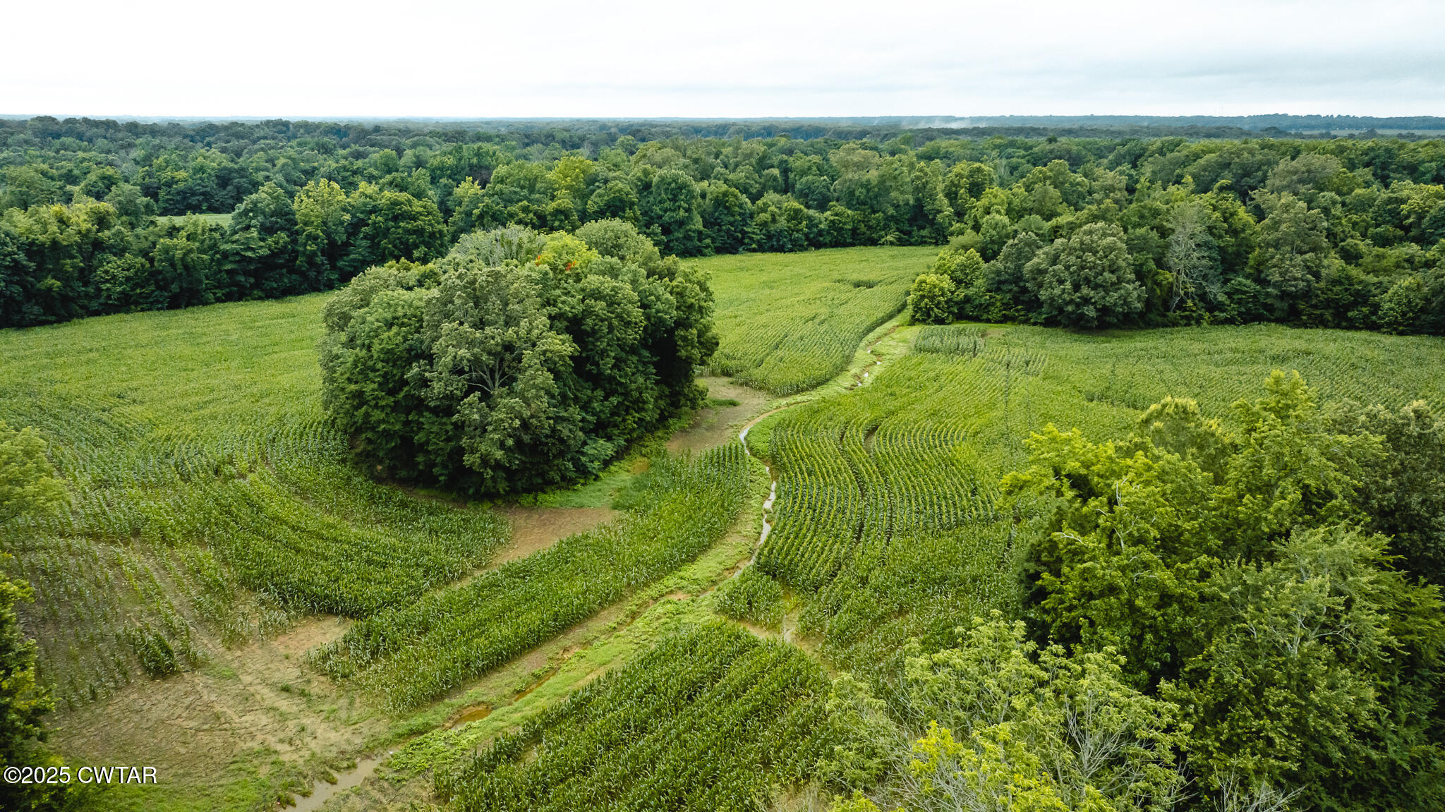 0 Hearn Road Greenfield, TN 38230 - Photo 11 of 24 DJI_20250617075438_0020_D