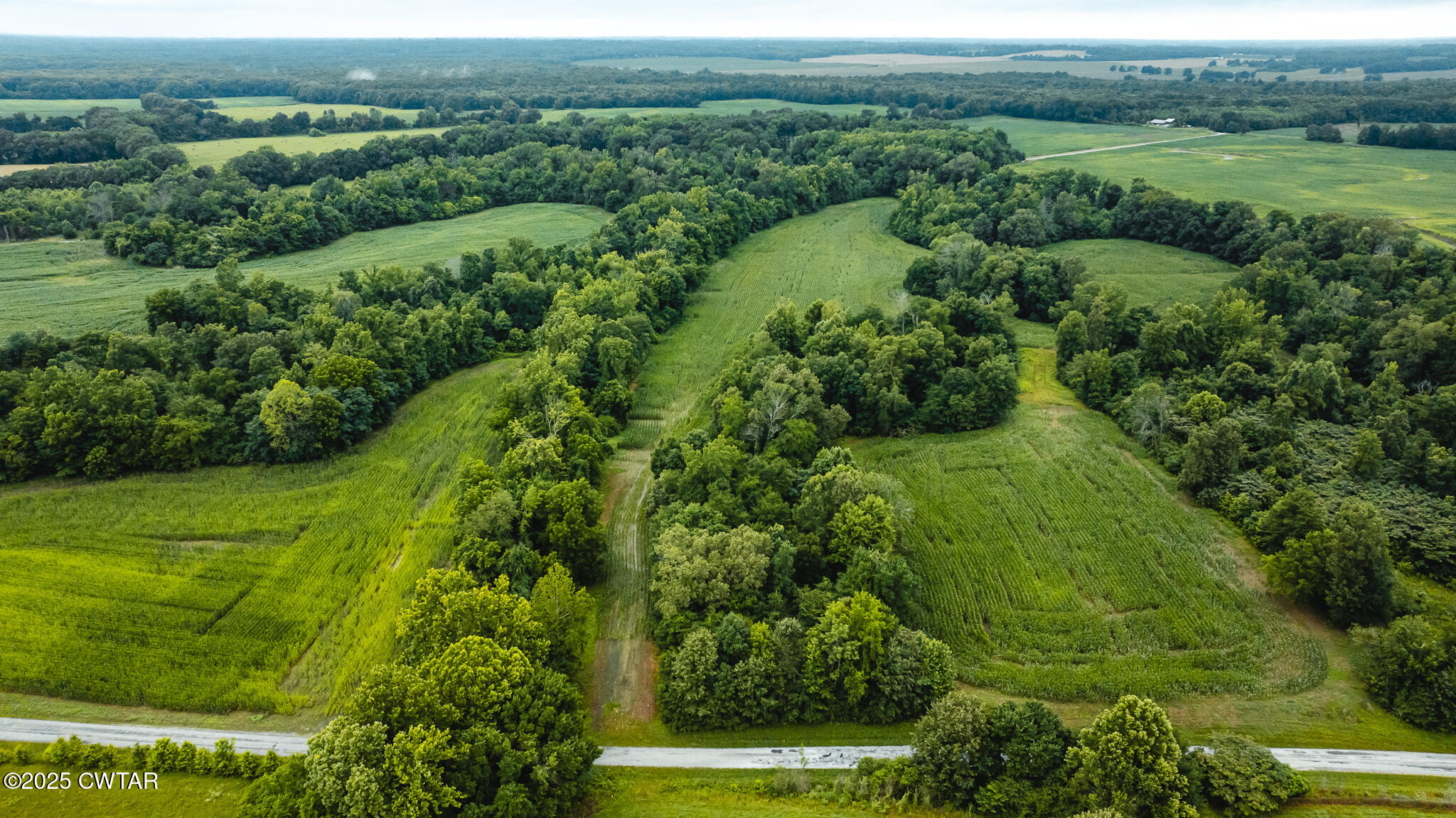 0 Hearn Road Greenfield, TN 38230 - Photo 12 of 24 DJI_20250617075544_0021_D