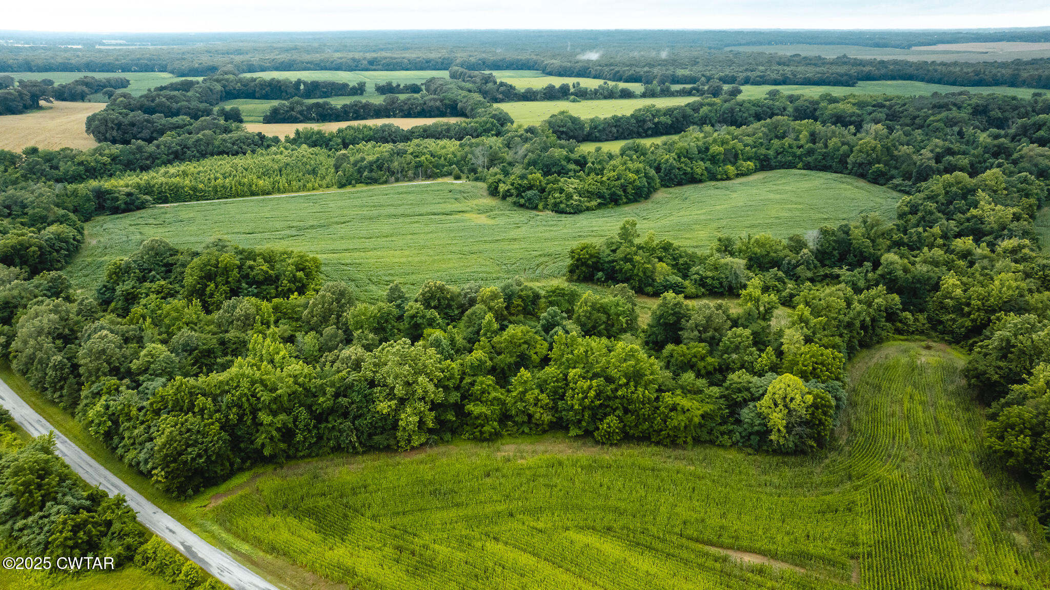 0 Hearn Road Greenfield, TN 38230 - Photo 13 of 24 DJI_20250617075558_0022_D