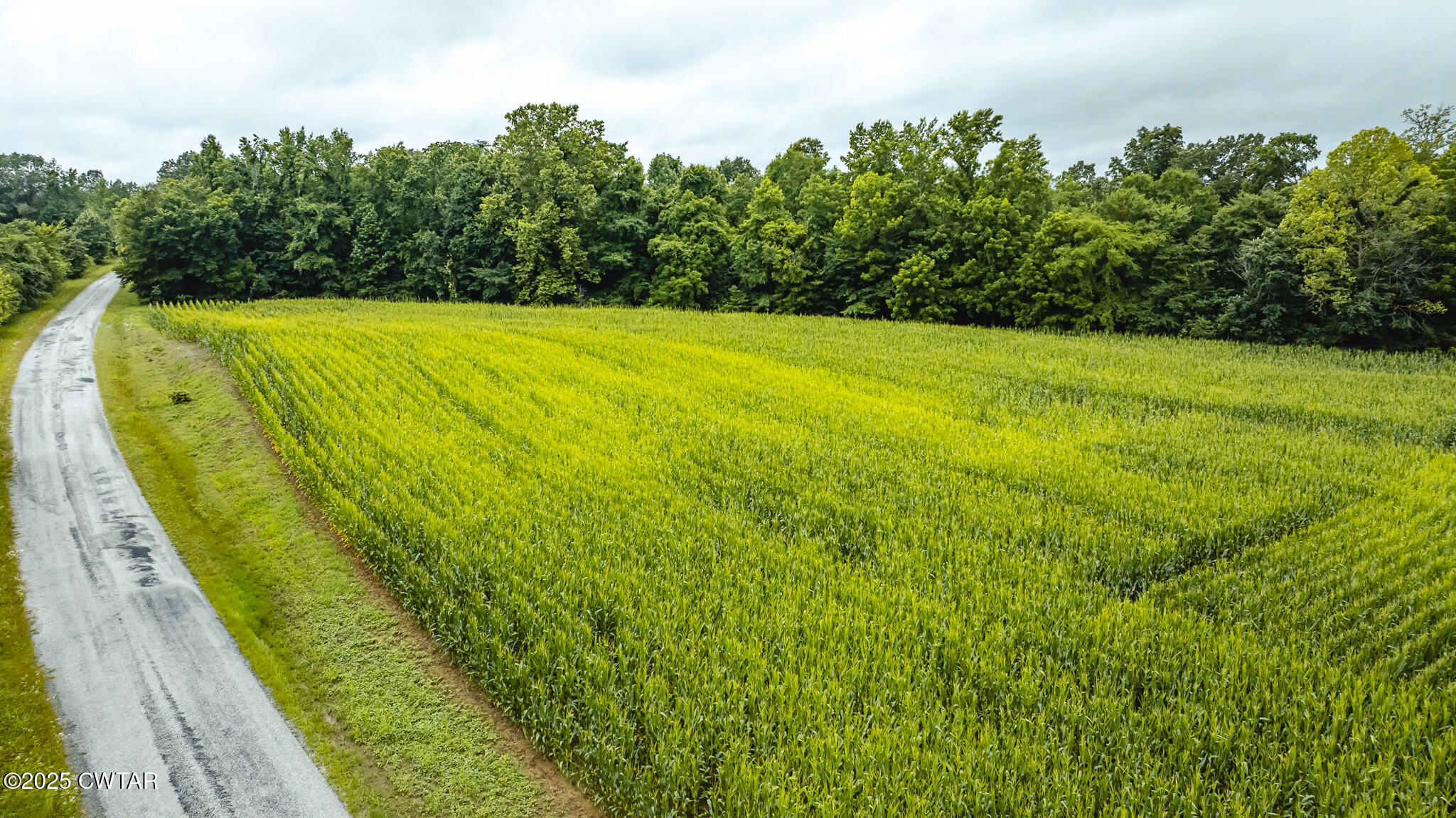 0 Hearn Road Greenfield, TN 38230 - Photo 14 of 24 DJI_20250617075619_0023_D
