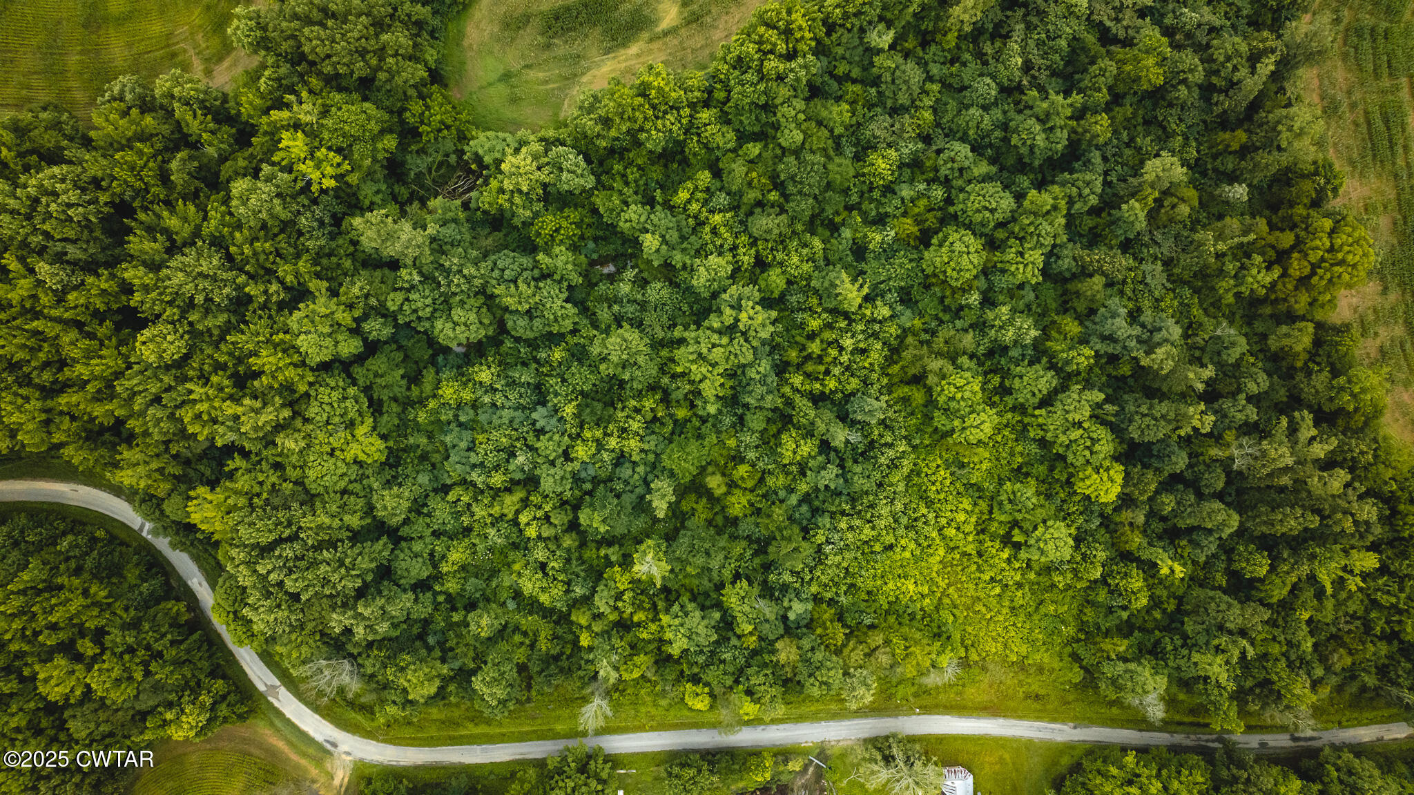 0 Hearn Road Greenfield, TN 38230 - Photo 16 of 24 DJI_20250616084441_0004_D