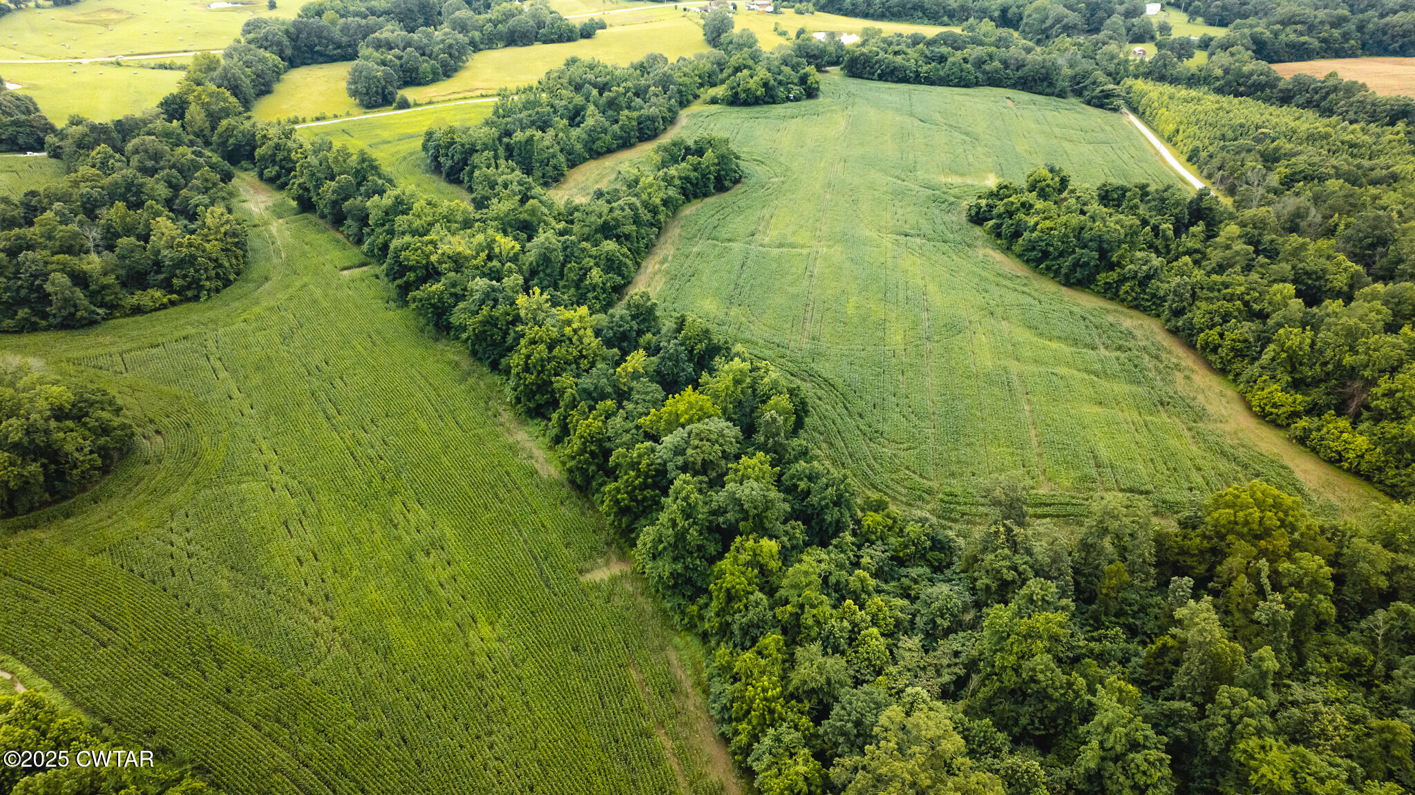 0 Hearn Road Greenfield, TN 38230 - Photo 17 of 24 DJI_20250616084503_0005_D