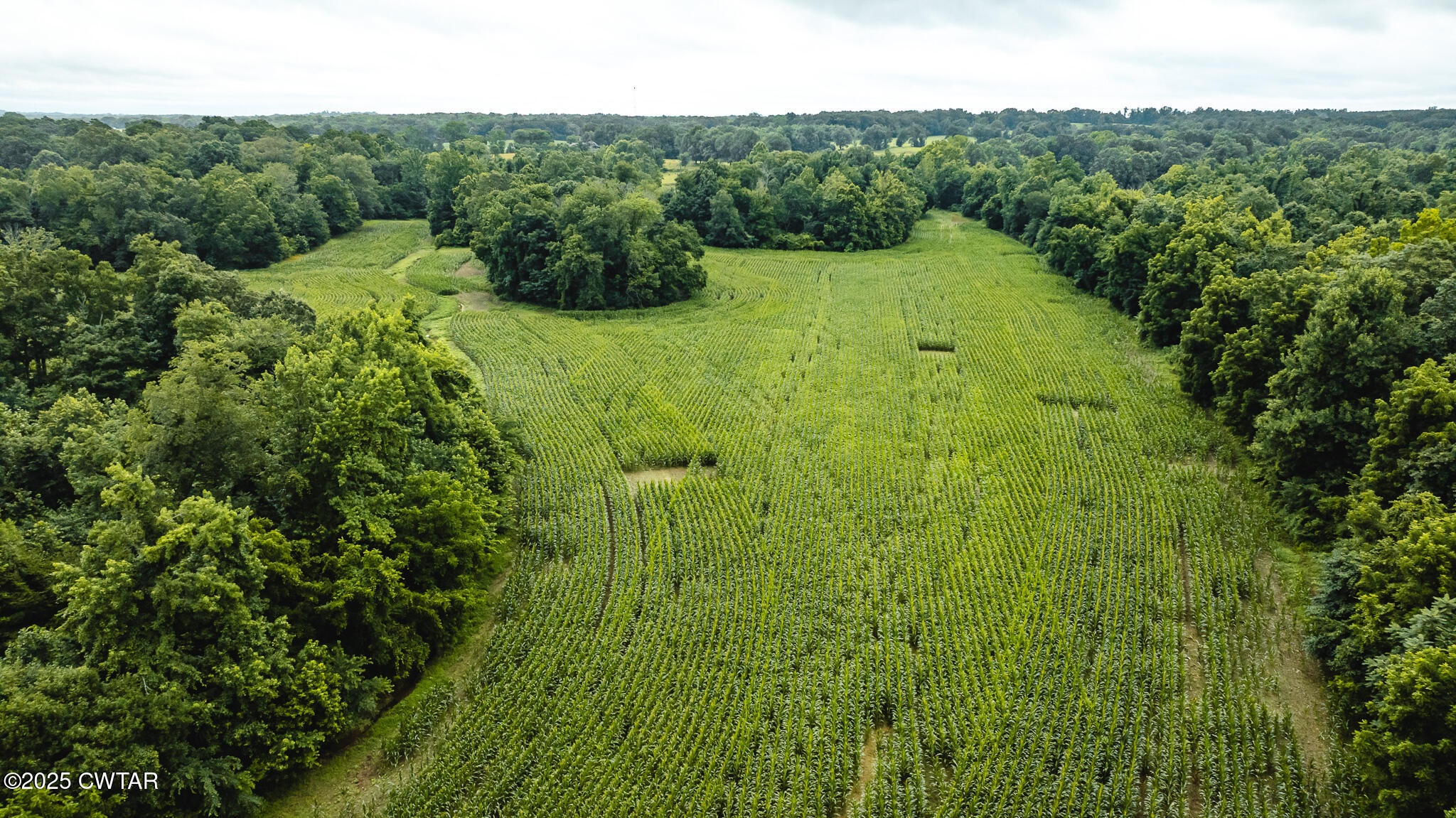 0 Hearn Road Greenfield, TN 38230 - Photo 18 of 24 DJI_20250616084521_0006_D
