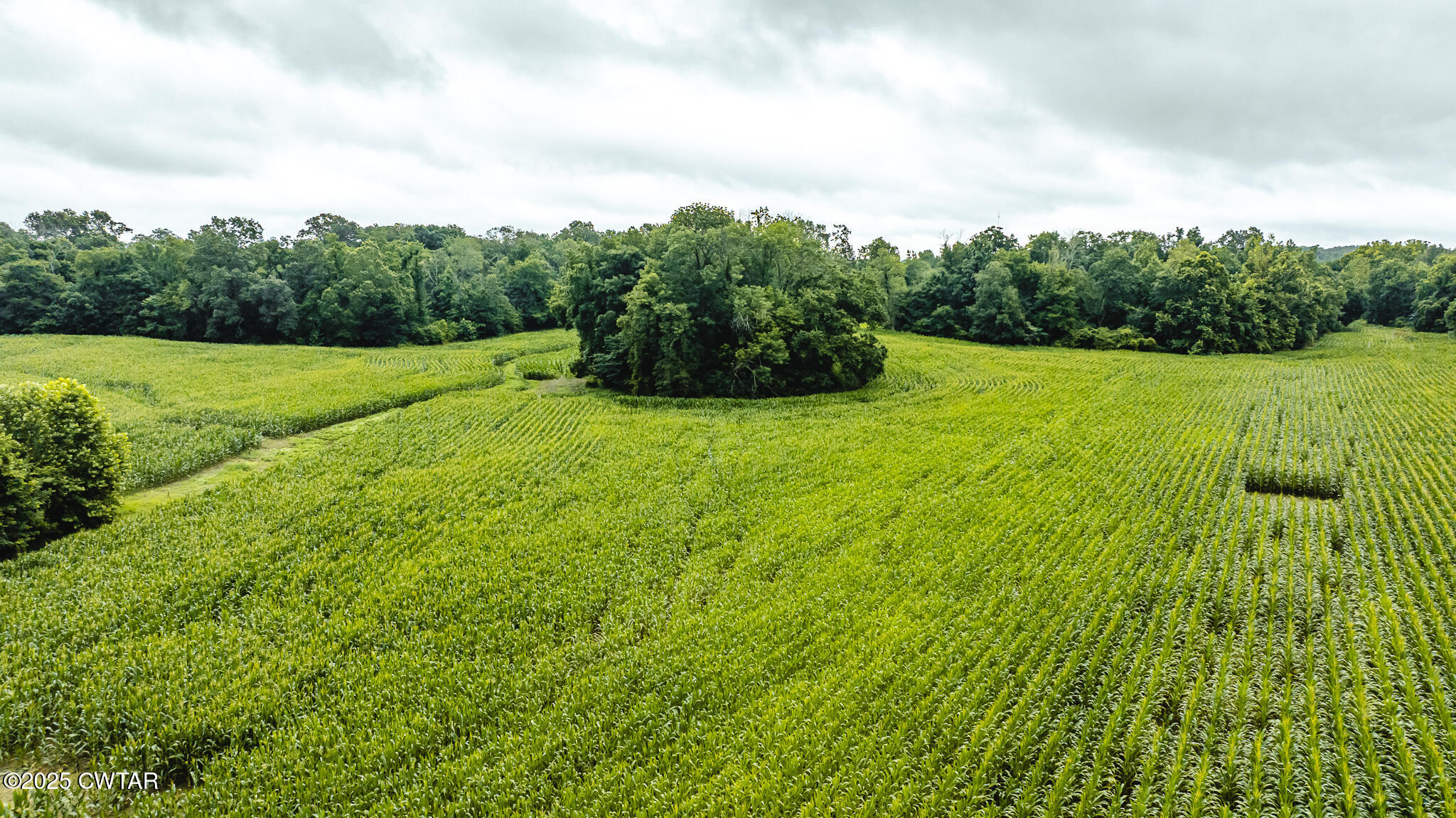 0 Hearn Road Greenfield, TN 38230 - Photo 19 of 24 DJI_20250616084542_0007_D