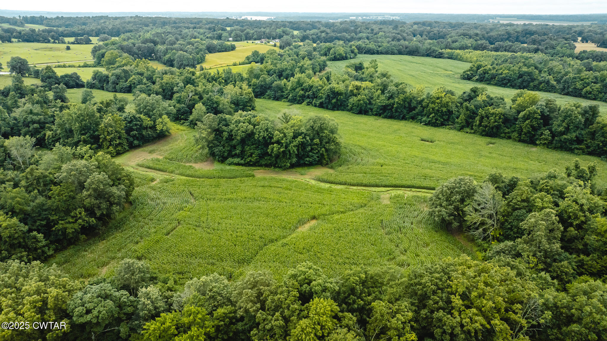 0 Hearn Road Greenfield, TN 38230 - Photo 20 of 24 DJI_20250616084607_0008_D