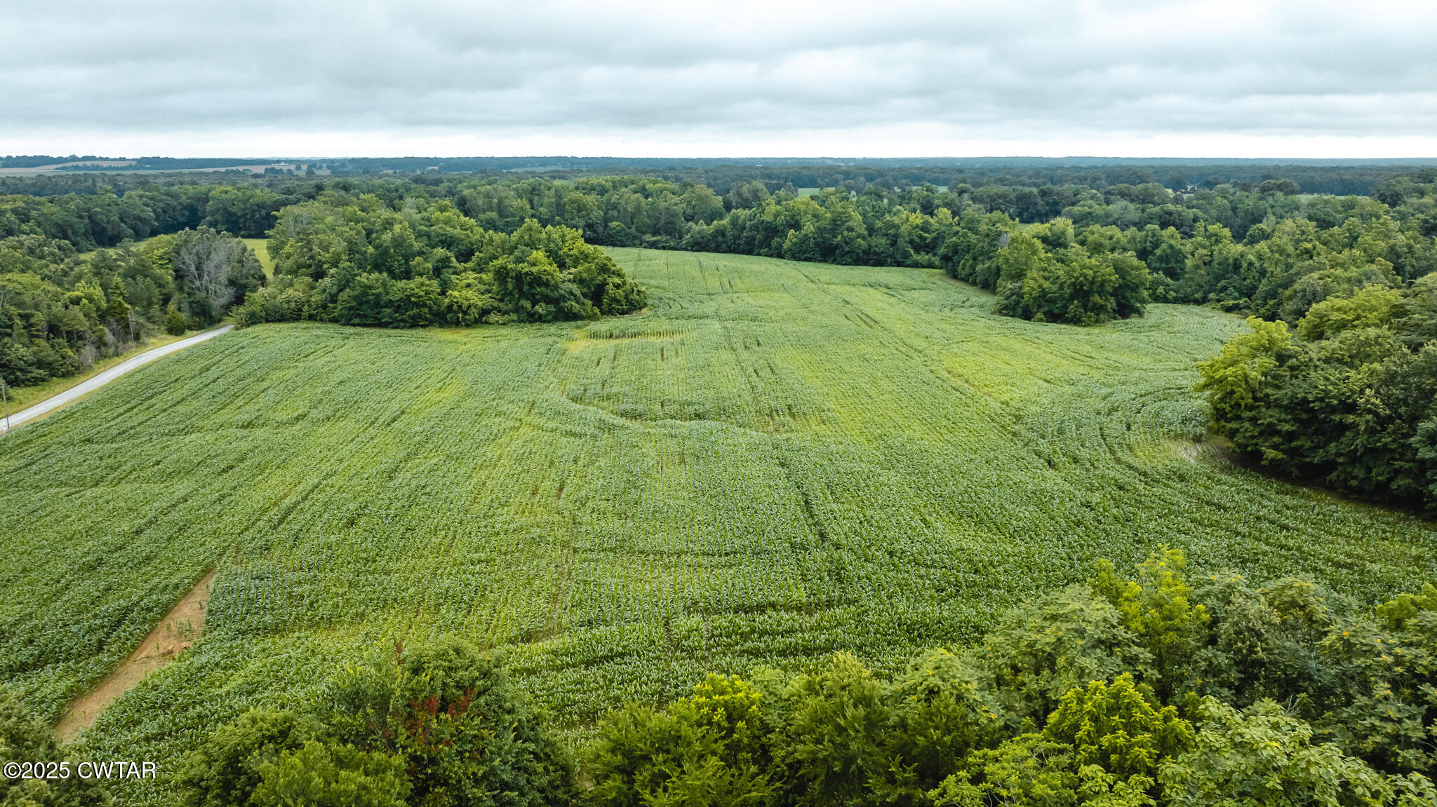 0 Hearn Road Greenfield, TN 38230 - Photo 2 of 24 DJI_20250617075704_0024_D