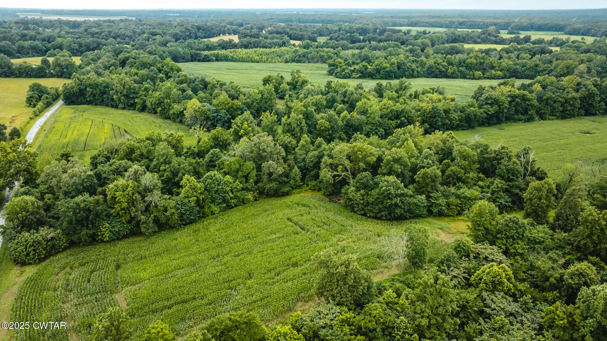 0 Hearn Road Greenfield, TN 38230 - Photo 21 of 24 DJI_20250616084638_0009_D