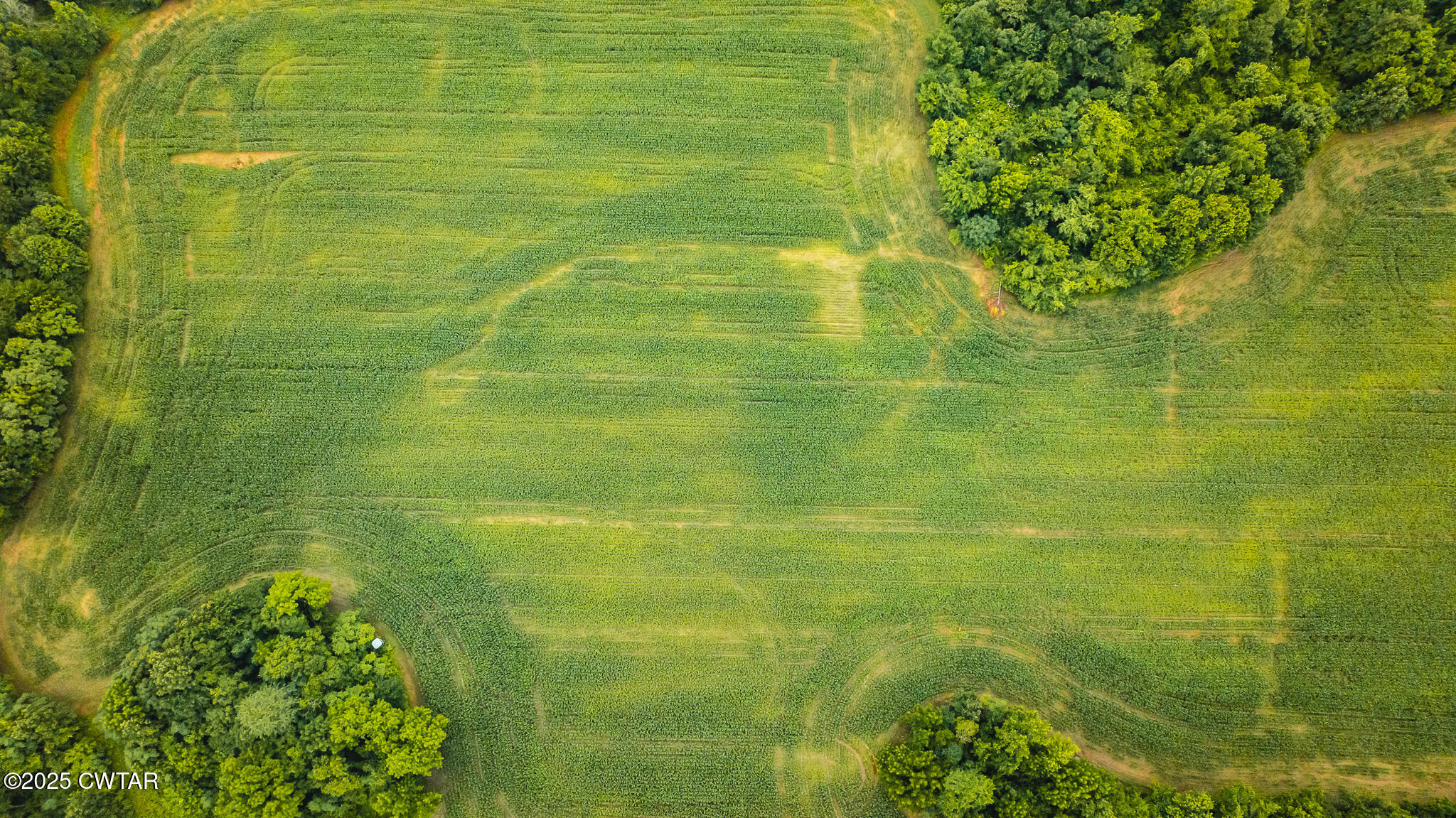 0 Hearn Road Greenfield, TN 38230 - Photo 23 of 24 DJI_20250616084741_0012_D