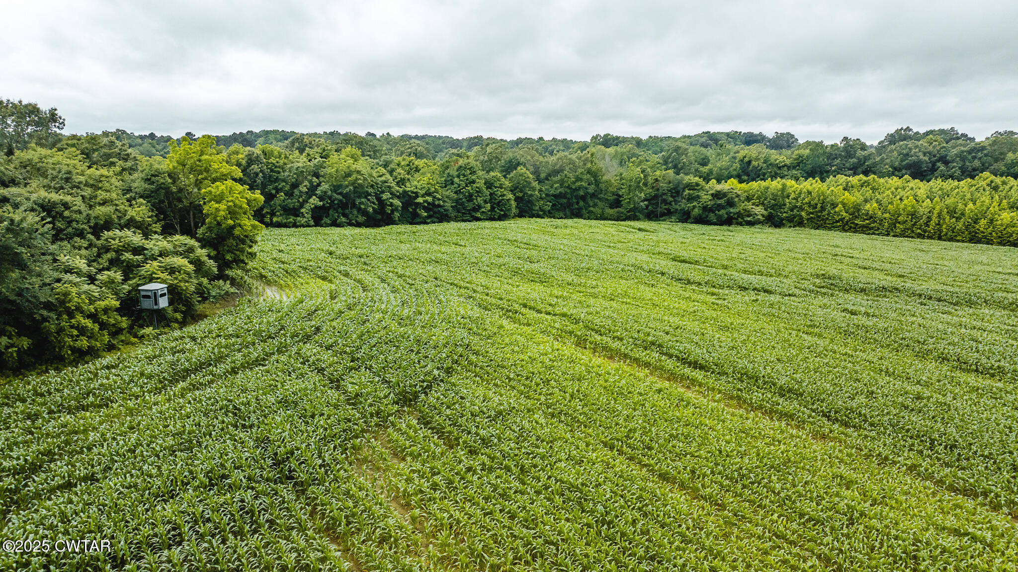 0 Hearn Road Greenfield, TN 38230 - Photo 4 of 24 DJI_20250617075749_0027_D