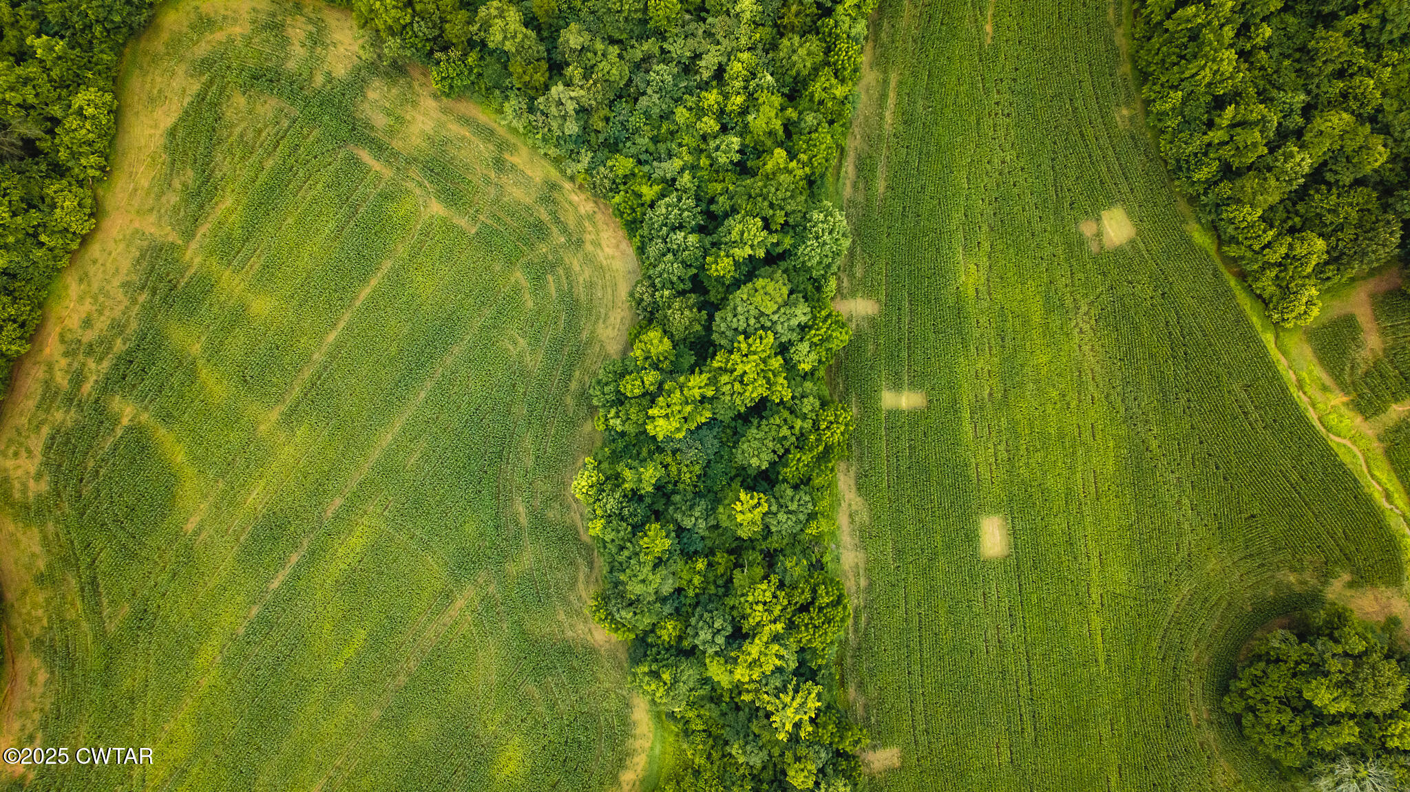0 Hearn Road Greenfield, TN 38230 - Photo 5 of 24 DJI_20250617075831_0028_D